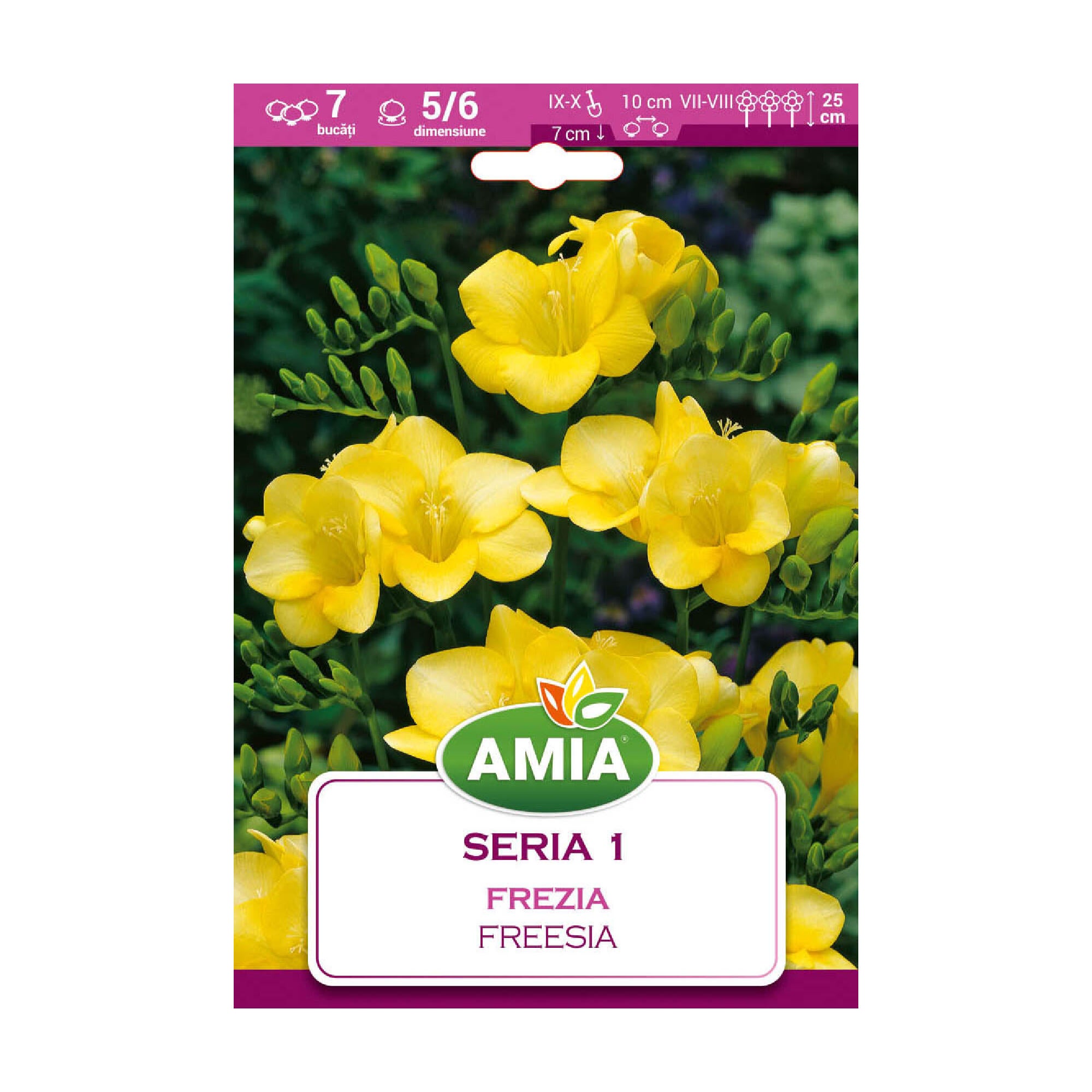 Bulbi frezia, Amia, galben (7 buc)