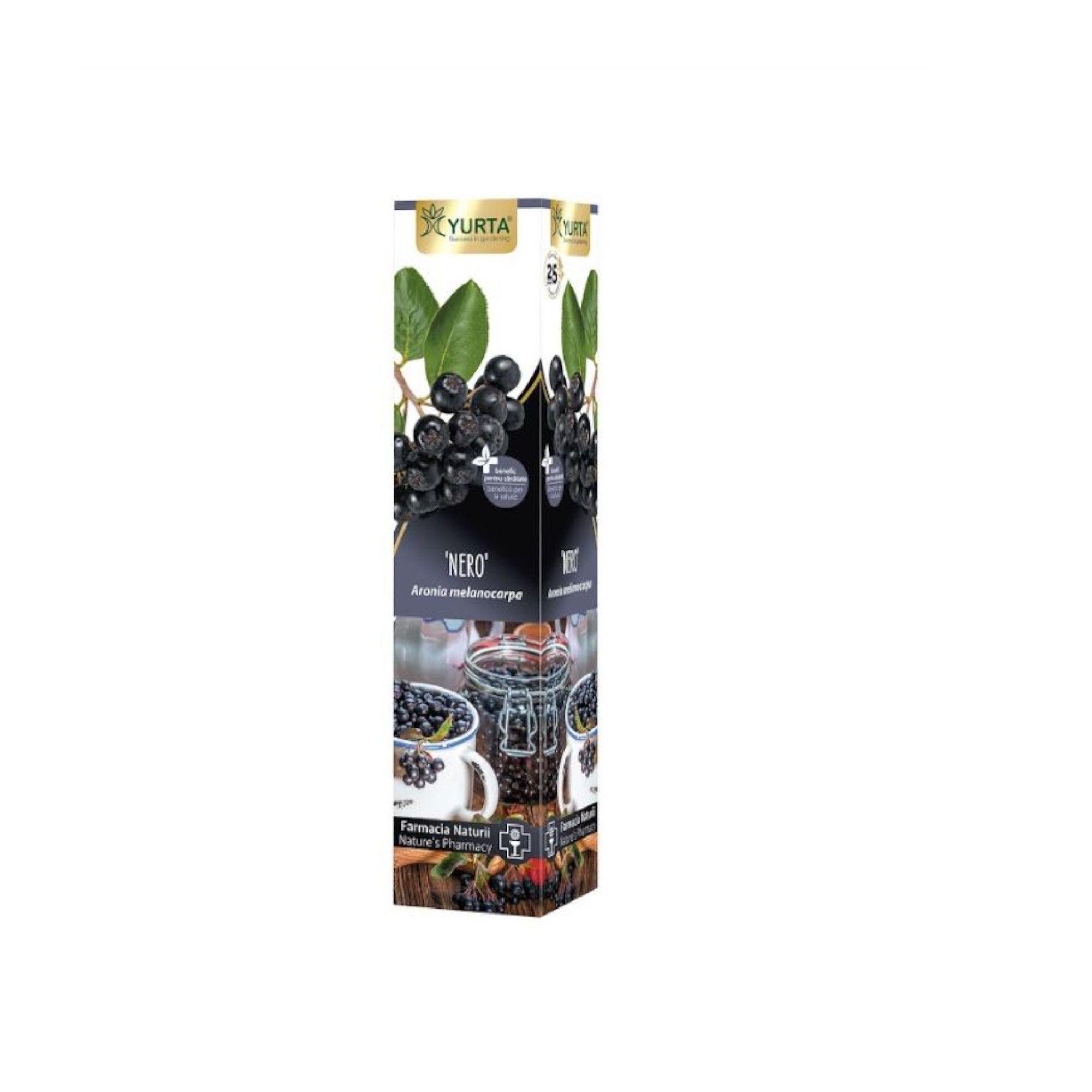 Arbust fructifer aronia Premium, H <40 cm, negru