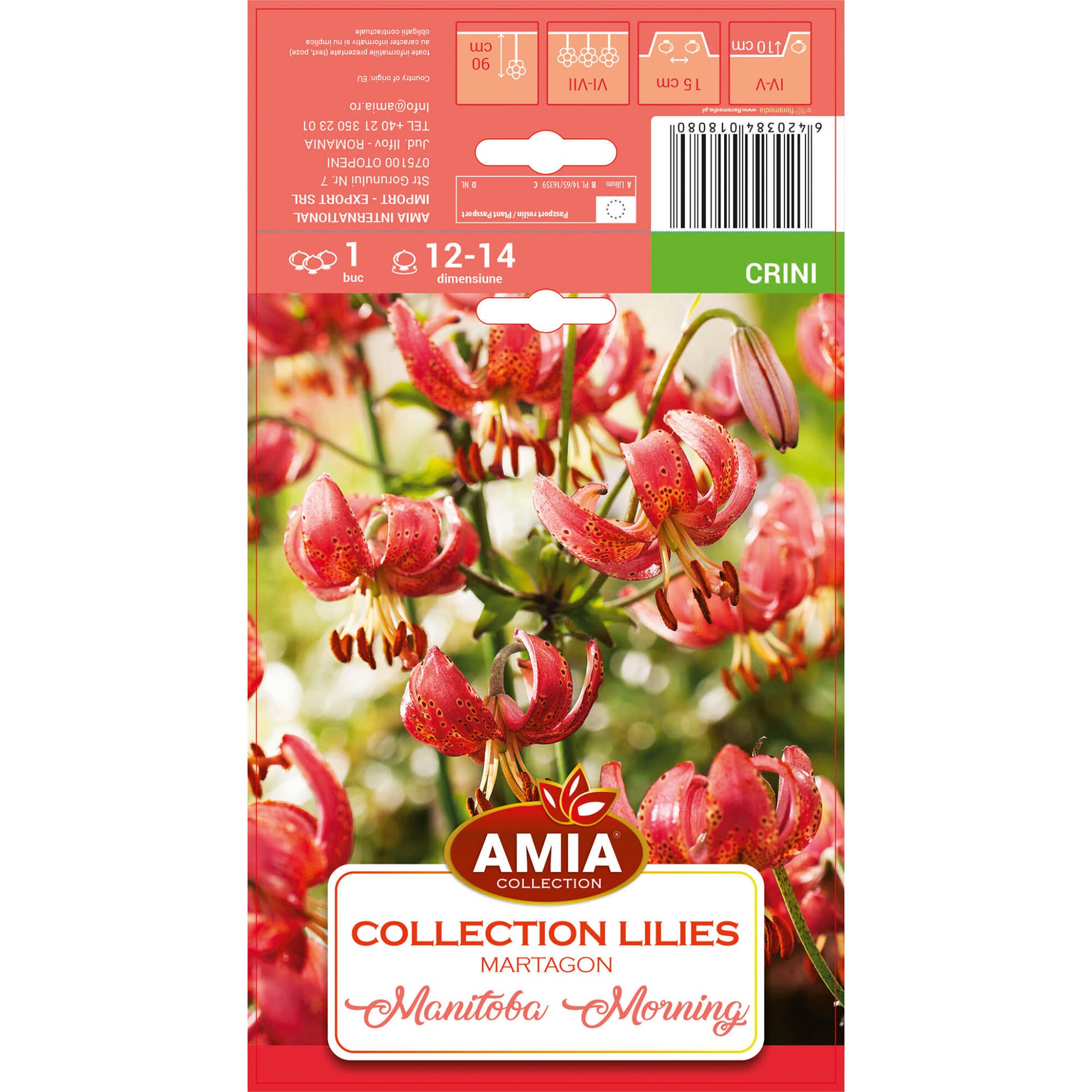 Crin Roz Bulb crin Martagon, roz | Leroy Merlin