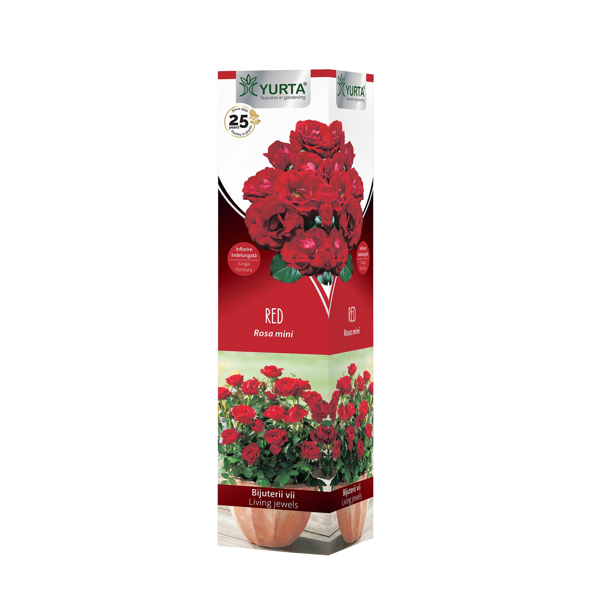 Butas trandafir Red Rosa Mini, H <40 cm, rosu