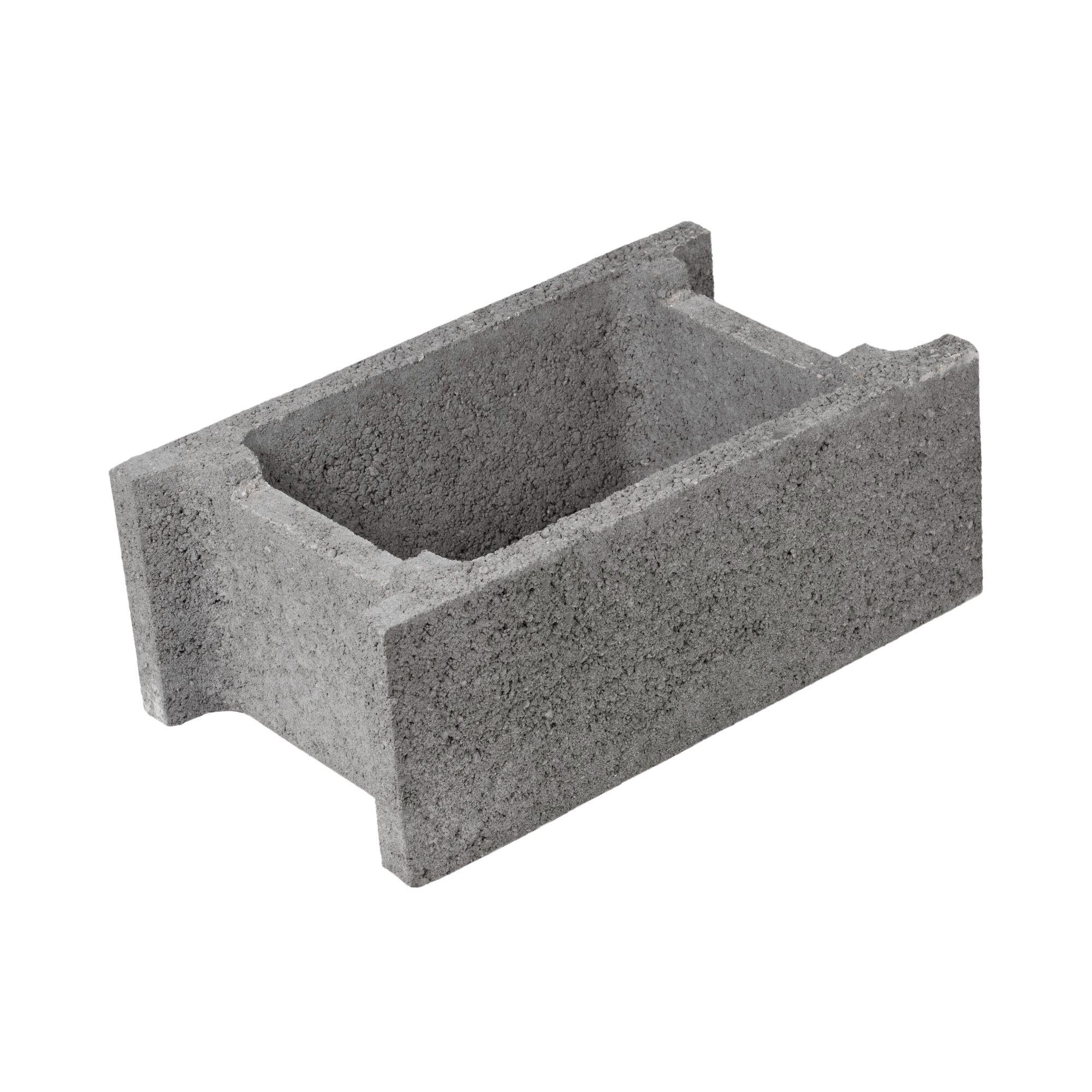 Boltar fundatie BF2, 300 x 195 x 500 mm