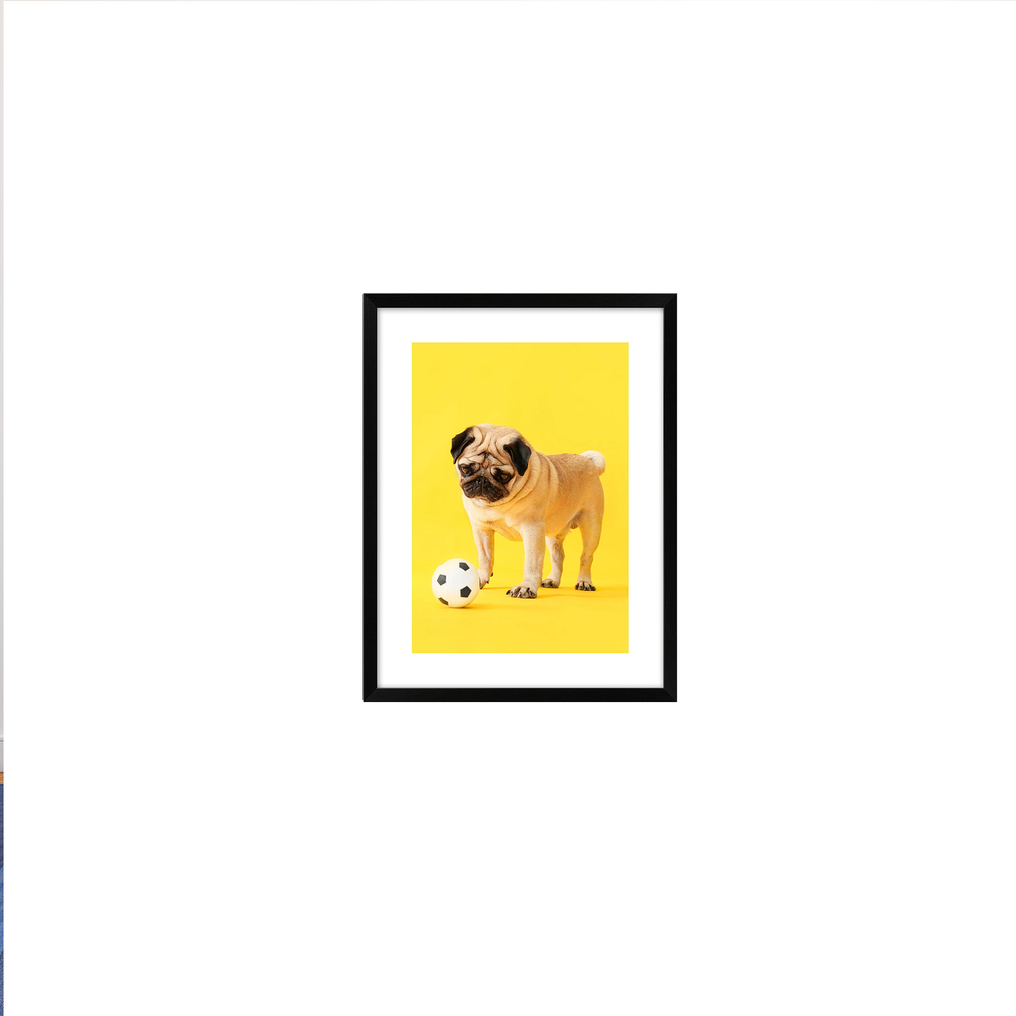 Tablou inramat Mops cu minge, 30 x 40 cm