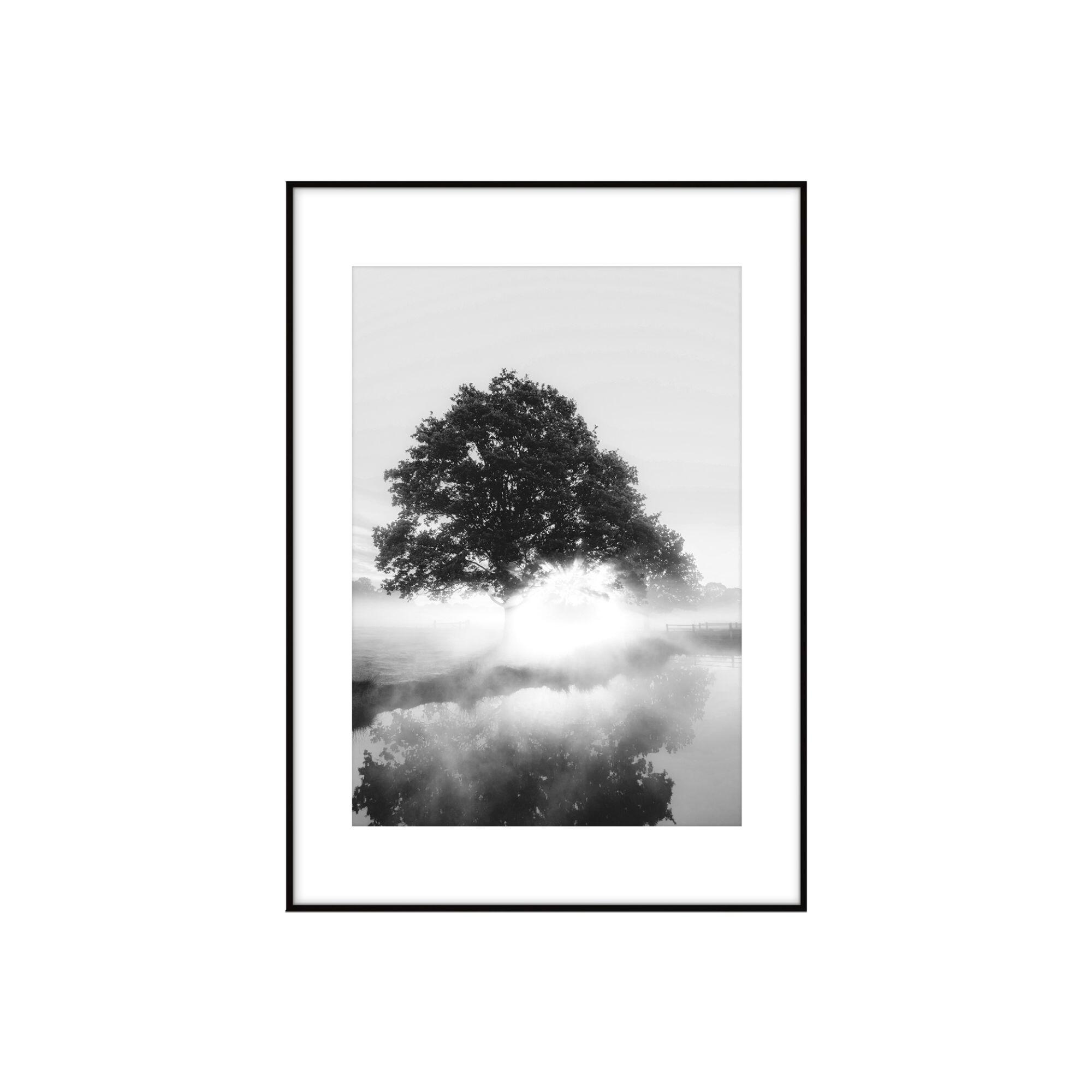 Tablou artbox digi Arbore in ceata, 50 x 70 cm