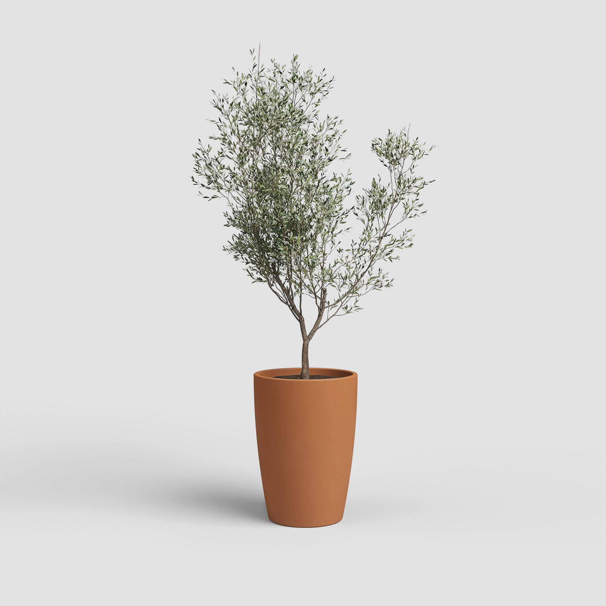 Maceta cónica de terracota ARTEVASI Emília ø 28 cm y 40 cm altura marrón - 2