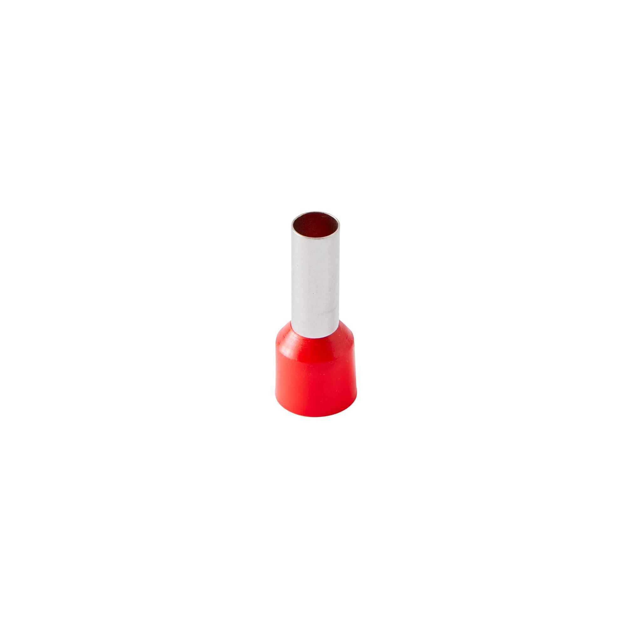 ピィ　10枚 Pini terminali Lexman, 10 mm², rosu (set 50 buc) | Leroy Merlin