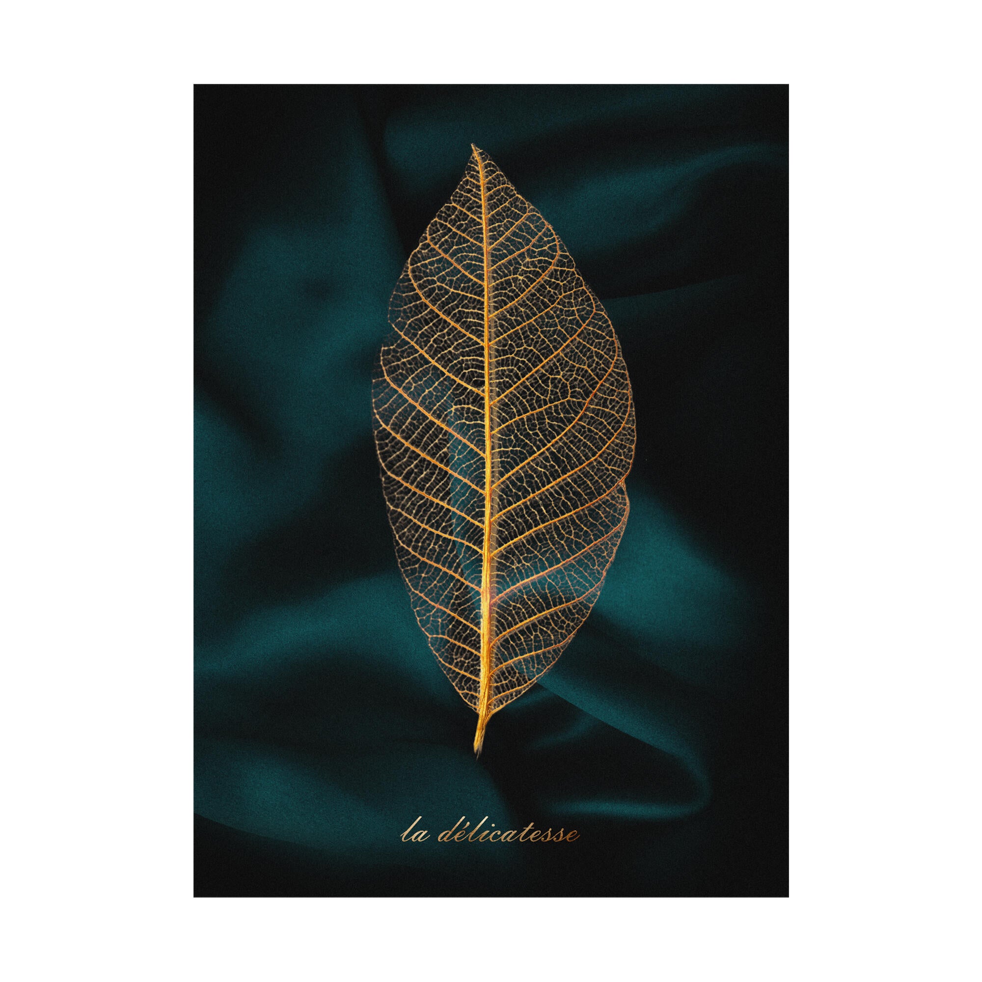 Tablou sticla Delicatesse, 50 x 70 cm