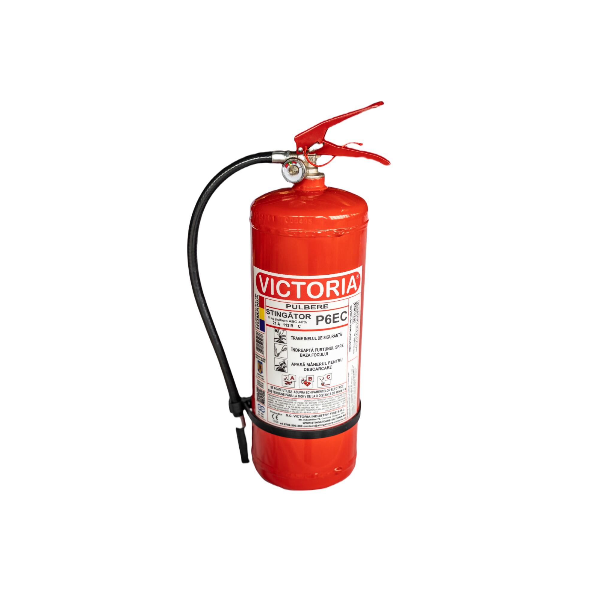 Stingator cu pulbere, tip P6, 6 kg | Leroy Merlin