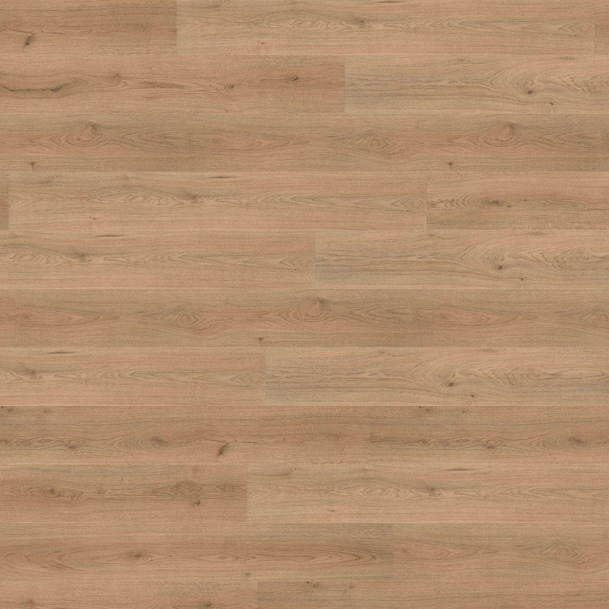 Parchet laminat Trend Oak Brown, 8 mm, clasa 32