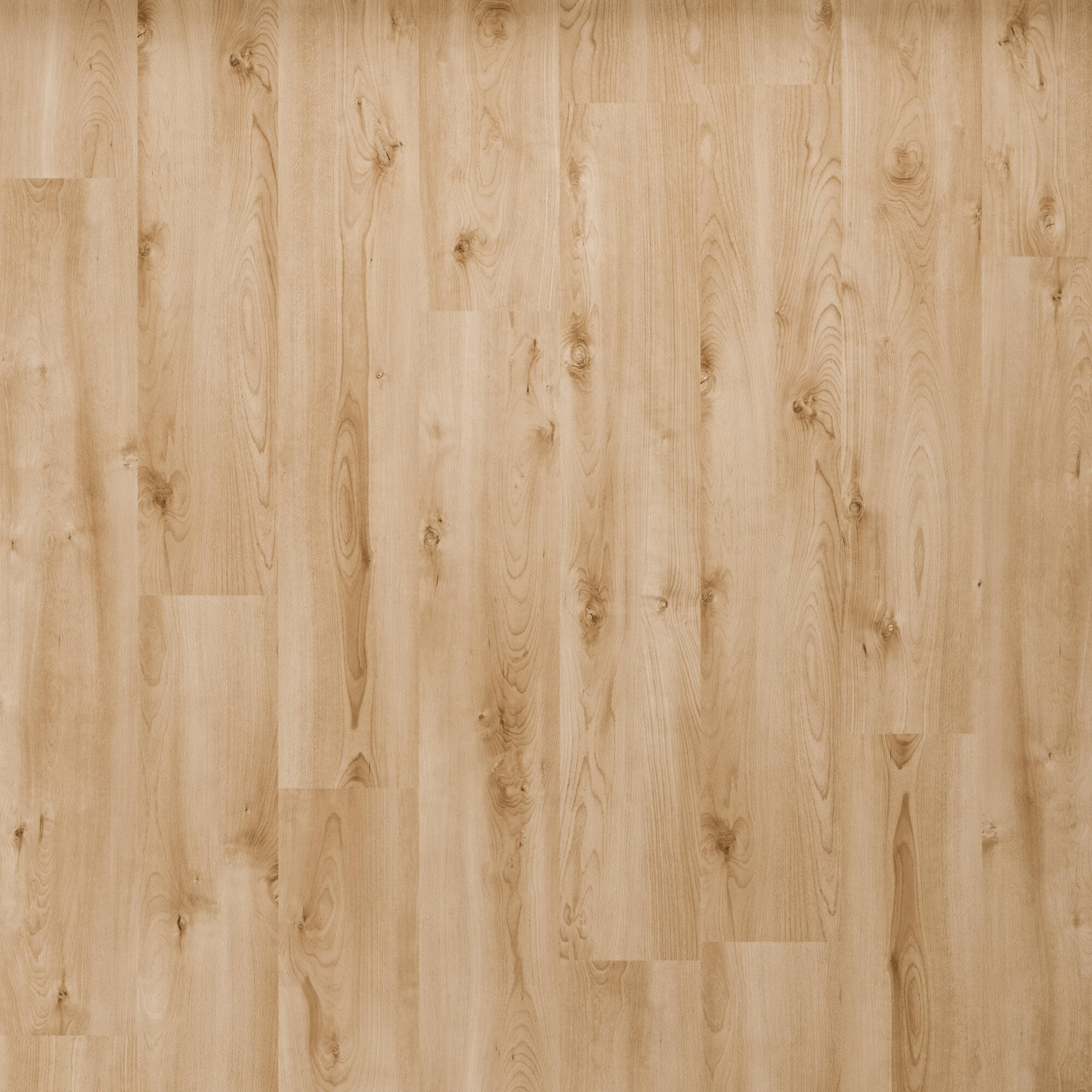 Parchet laminat Bella Yuka, 8 mm, clasa 31