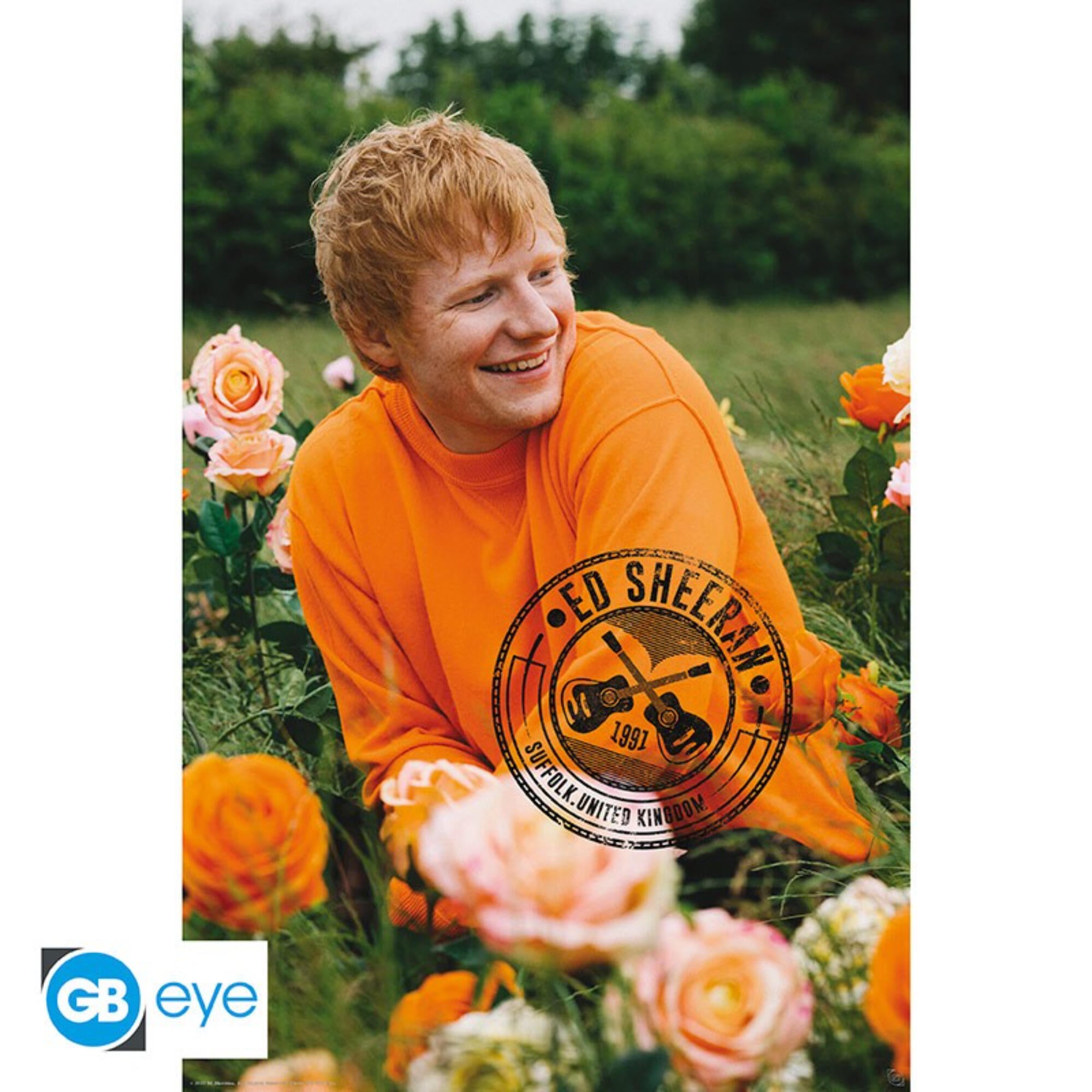 Poster maxi fara rama, Ed Sheeran, 91.5 x 61 cm