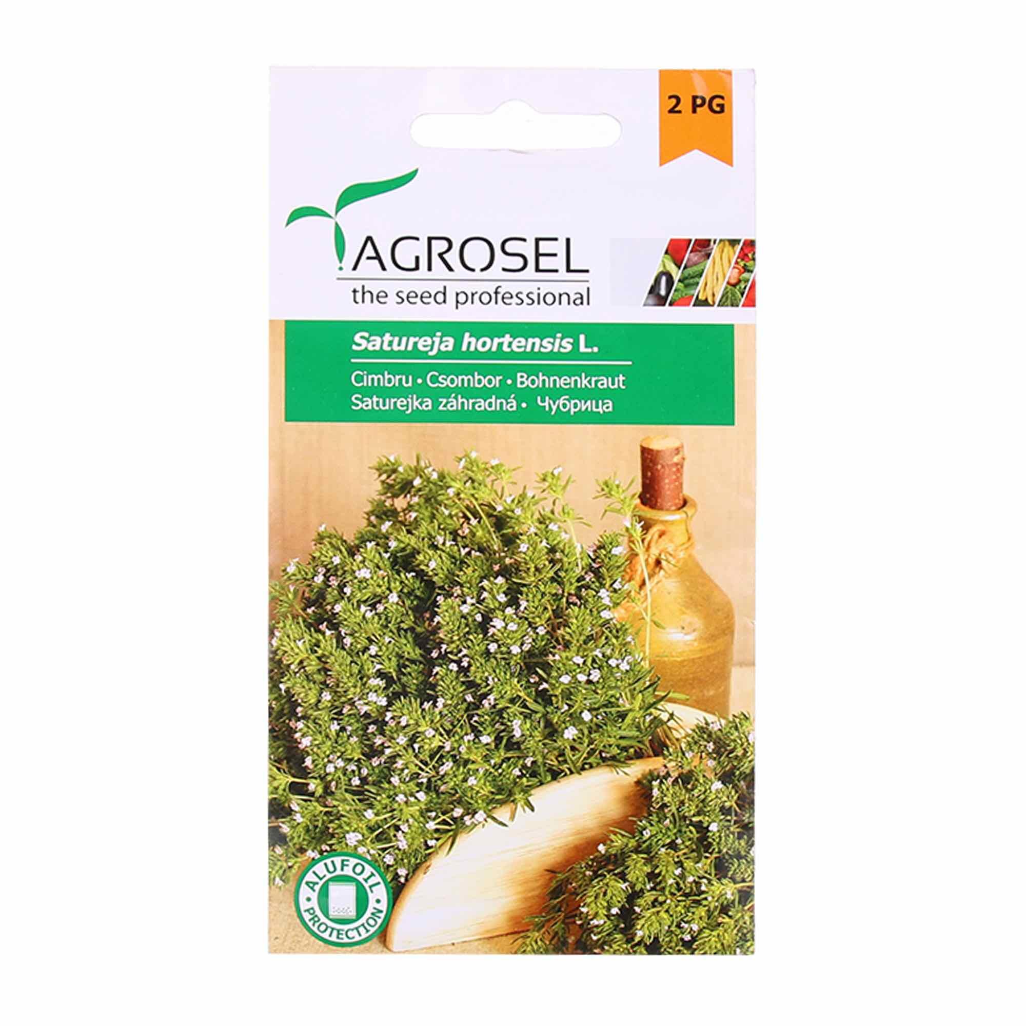 Seminte plante aromatice cimbru Satureja Hortensis, Agrosel