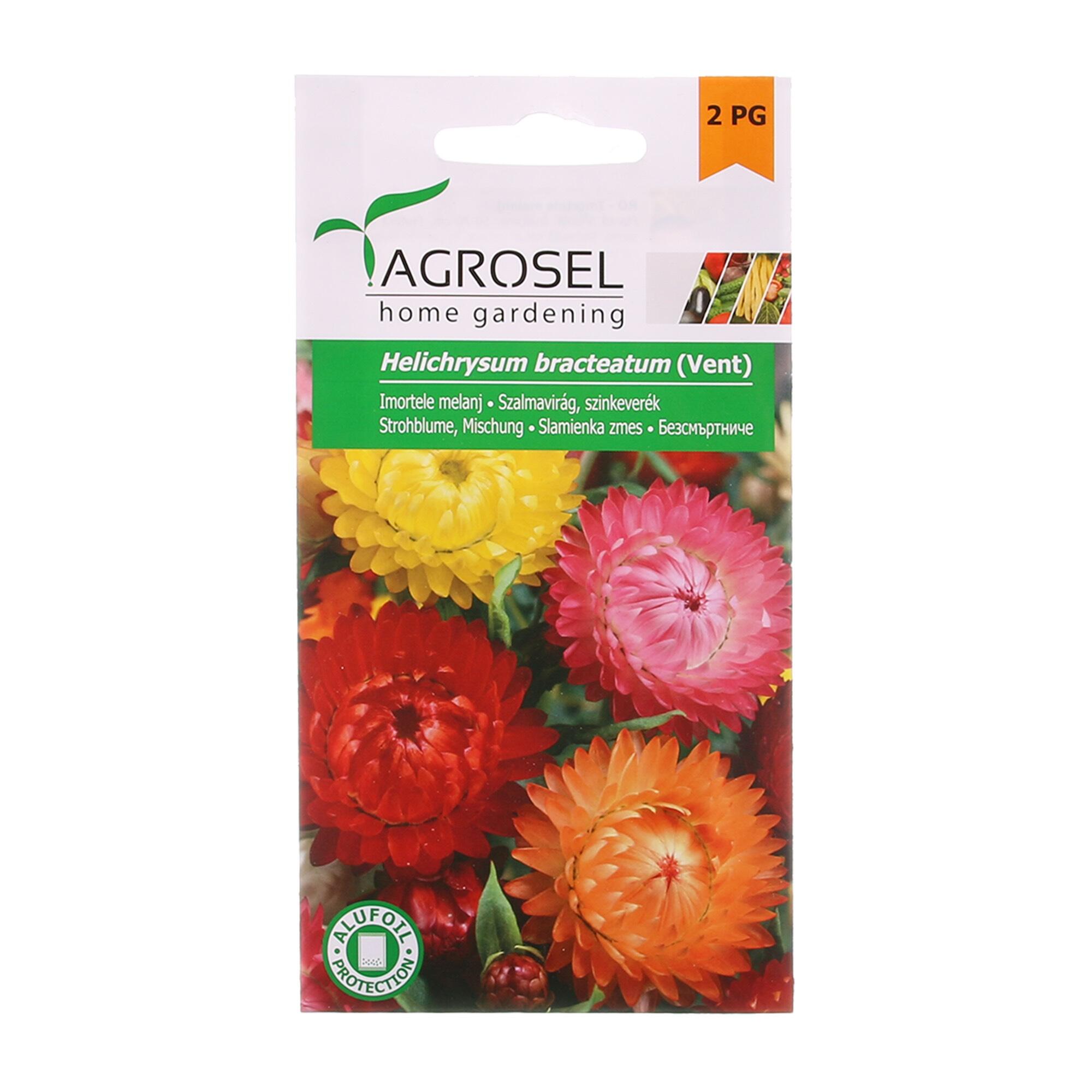 Seminte flori de primavara, imortele, amestec culori, Agrosel, 1 g