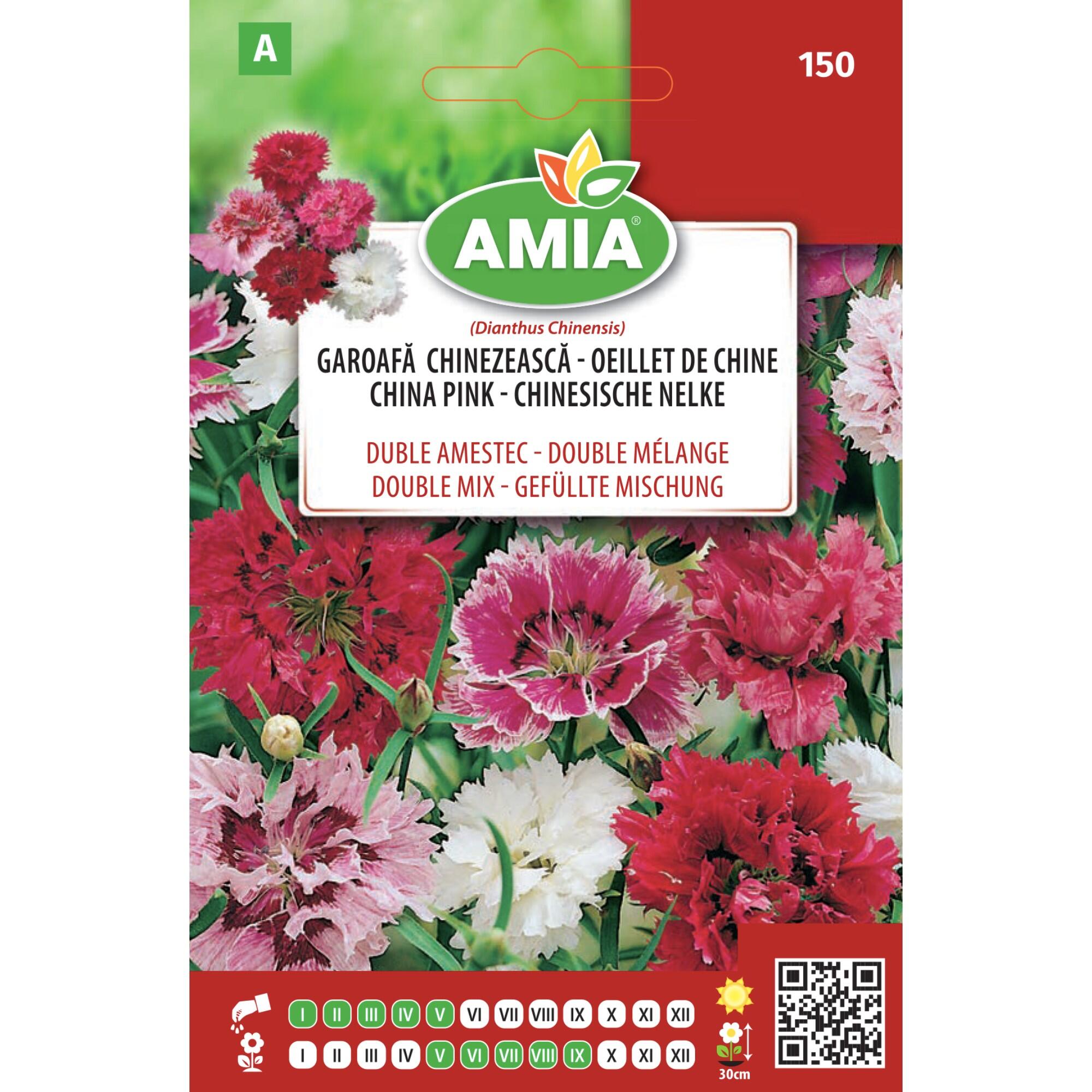 Seminte flori de primavara, garoafe chinezesti mari, amestec culori, Amia, 1 g