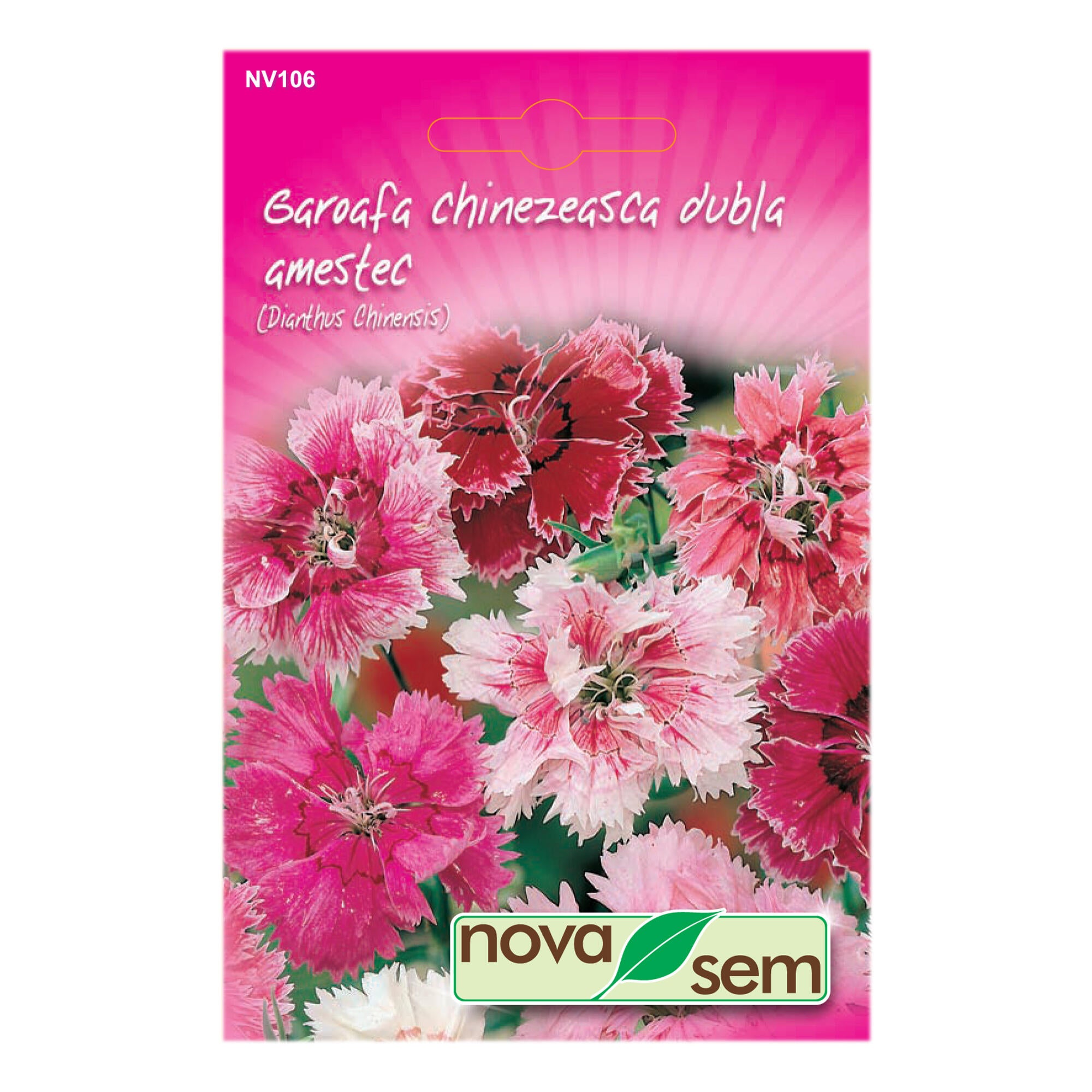 Seminte flori de primavara, Garoafa chinezeasca dubla, amestec culori, Novasem