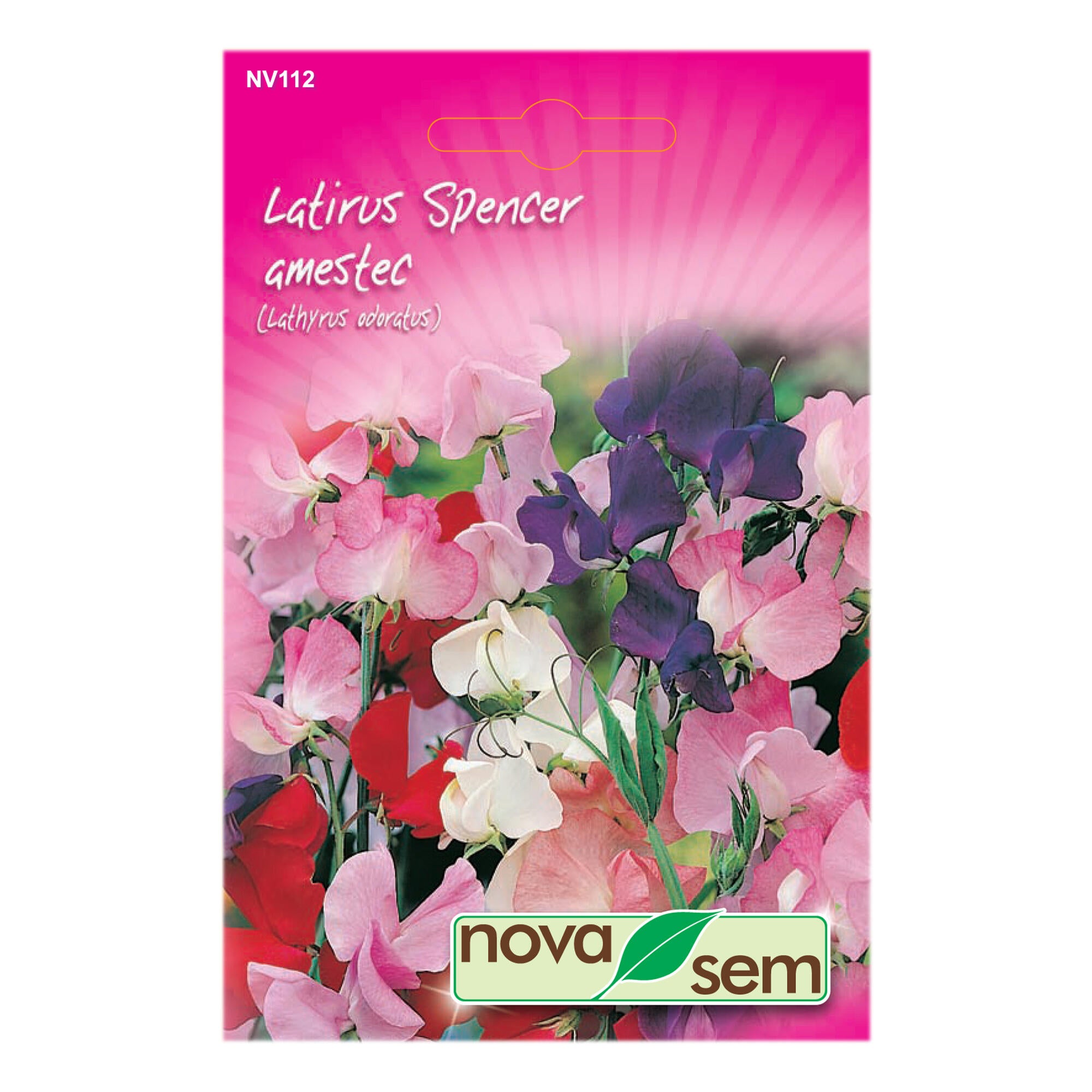 Seminte flori de primavara, Latirus Spencer, amestec culori, Novasem