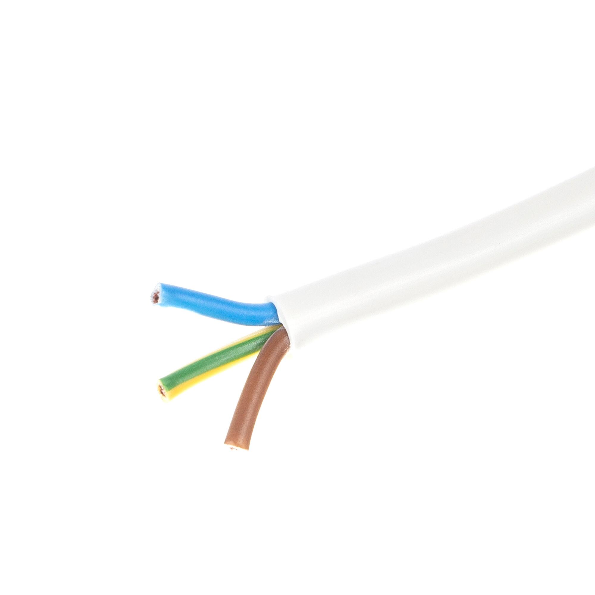 Cablu electric MYYM, H05VV-F, 3 x 2.5 mm², 50 m, alb | Leroy Merlin