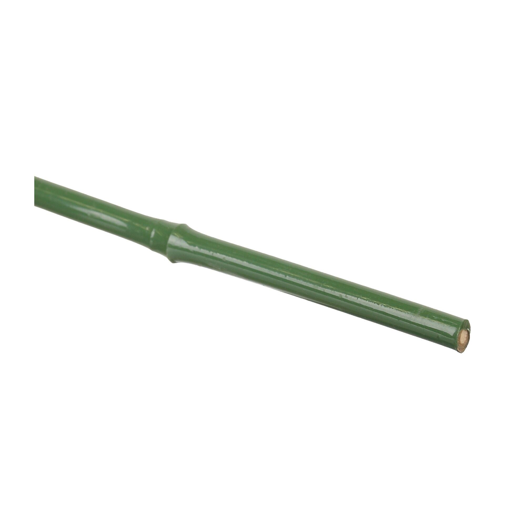 Arac bambus, plastifiat, 120 cm, verde