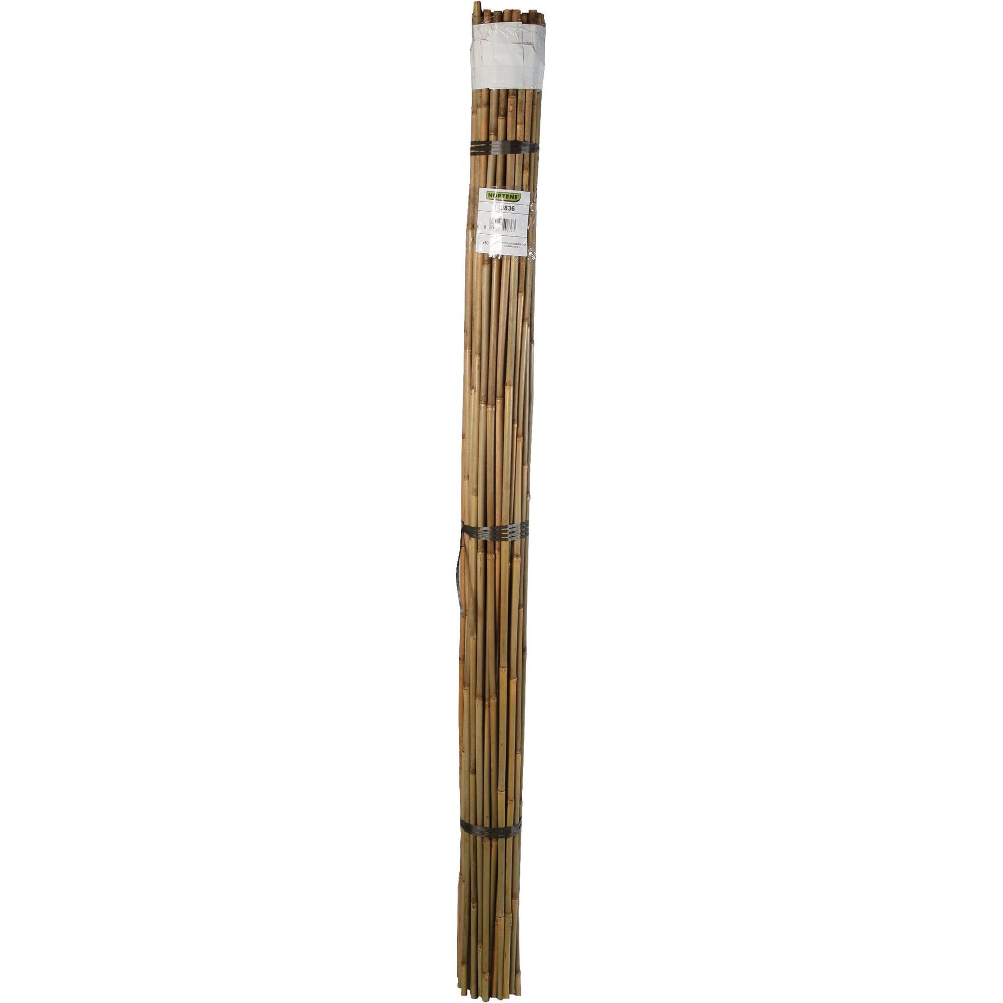 Arac bambus, 210 cm, natur