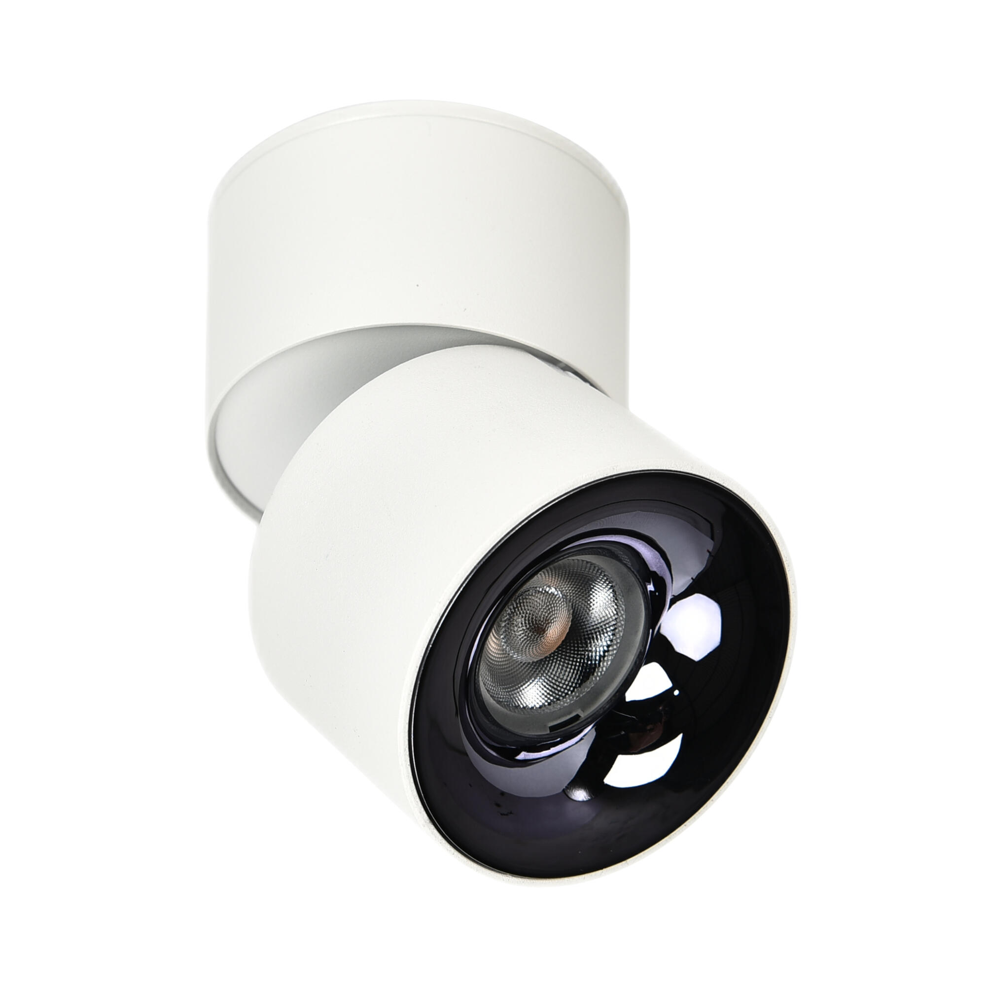 Spot LED aplicat, 10 W, CCT, reglabil, alb negru
