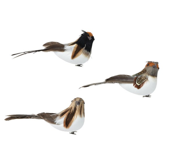 Enfeite clip passarinho 13 cm (sortido)