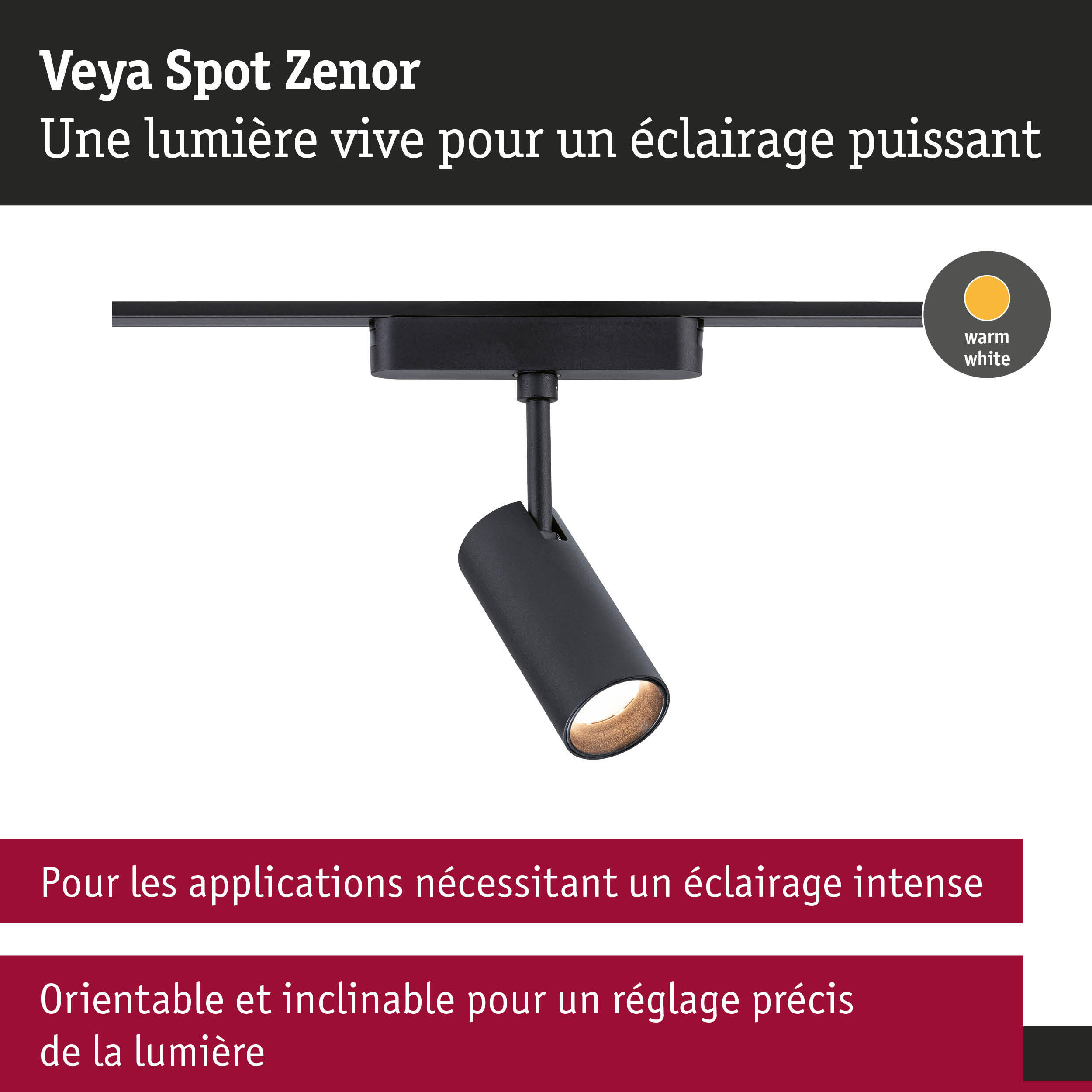 Spot Veya Zenor 1x7,5W 3000K 48VDC Alu/Pla noir, PAULMANN - 2