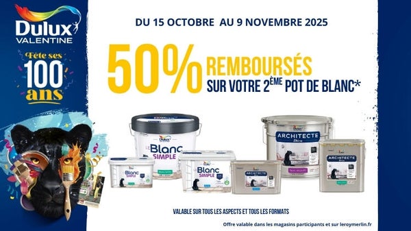 Quand le Blanc réinvente vos murs