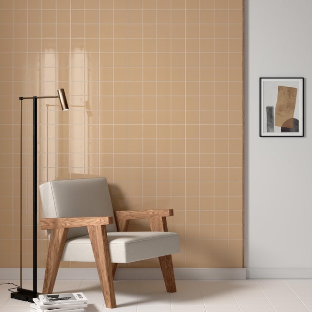 Carrelage mur intérieur Banaba Brillant brun l.10 x L.10 cm