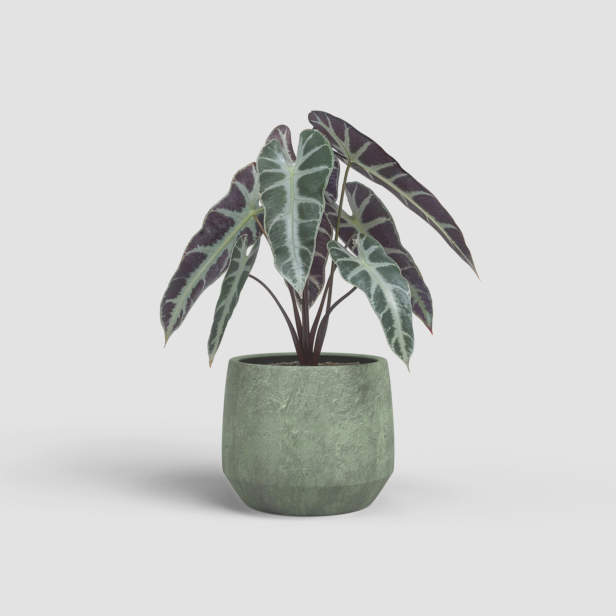 Maceta redonda de cerámica ARTEVASI Venus ø 23 cm y 22 cm altura verde - 2