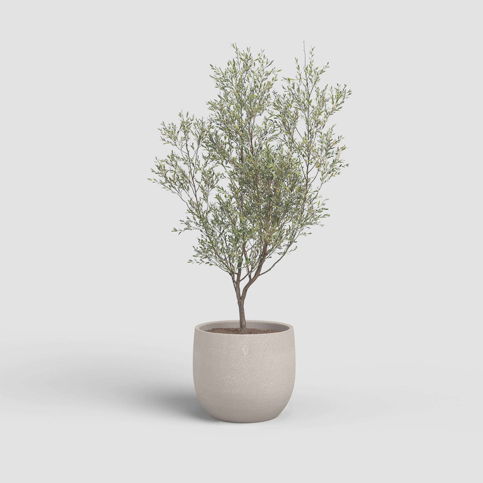 Maceta redonda de cerámica ARTEVASI Selene ø 25.5 cm y 25.5 cm altura beige - 2