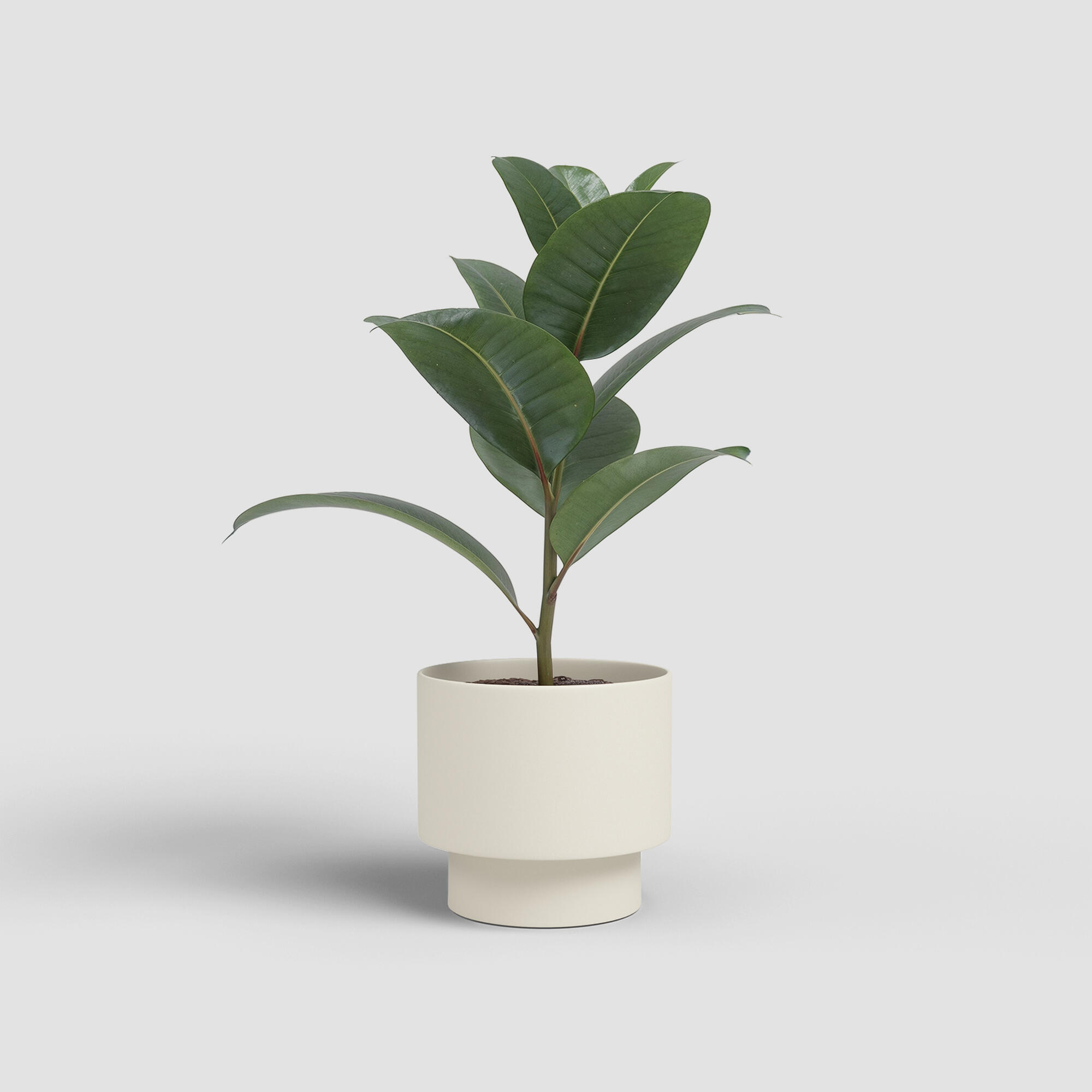Maceta redonda de cerámica ARTEVASI Nysa ø 13.5 cm y 12.5 cm altura beige - 2