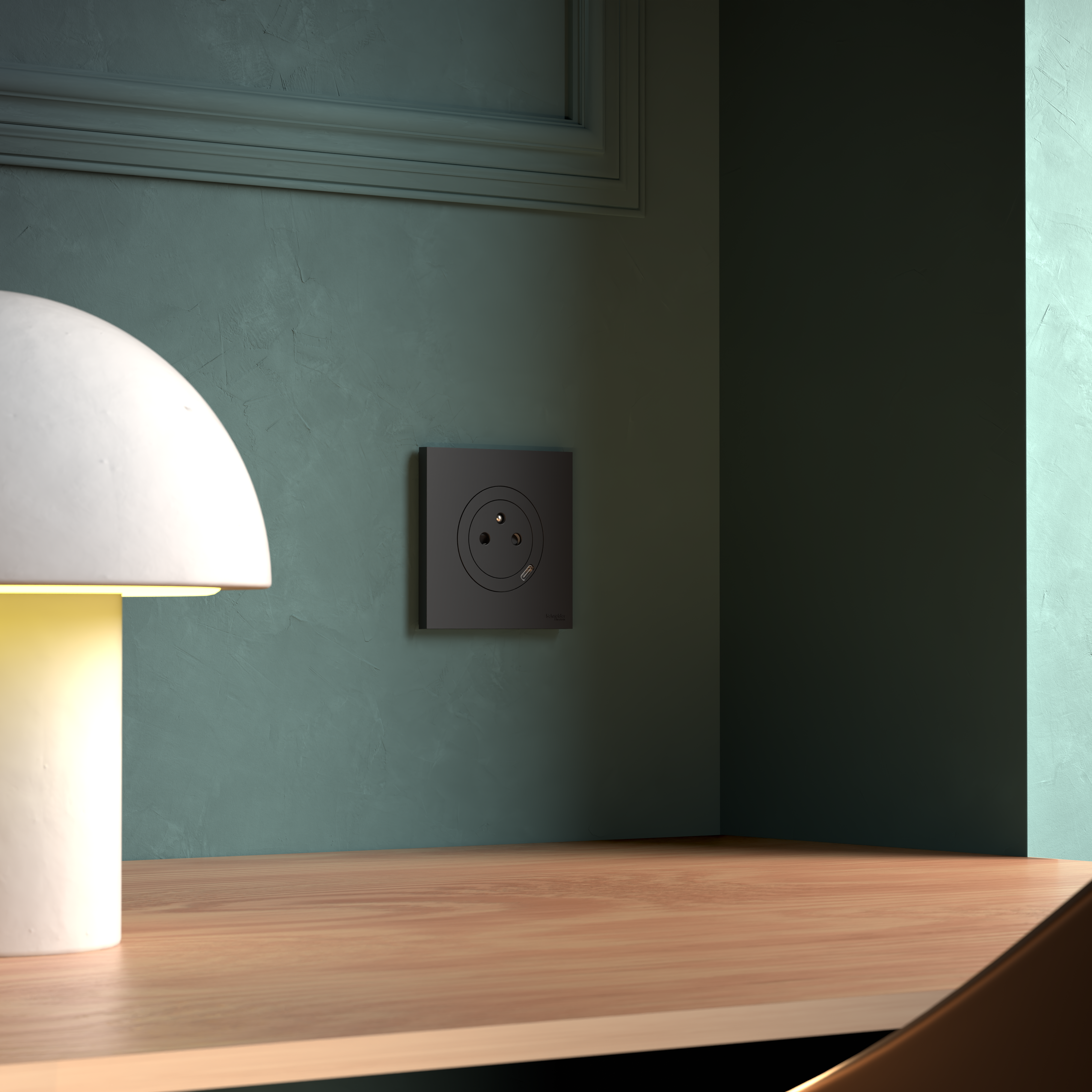 Plaque simple Odace, SCHNEIDER ELECTRIC, noir onyx - 3