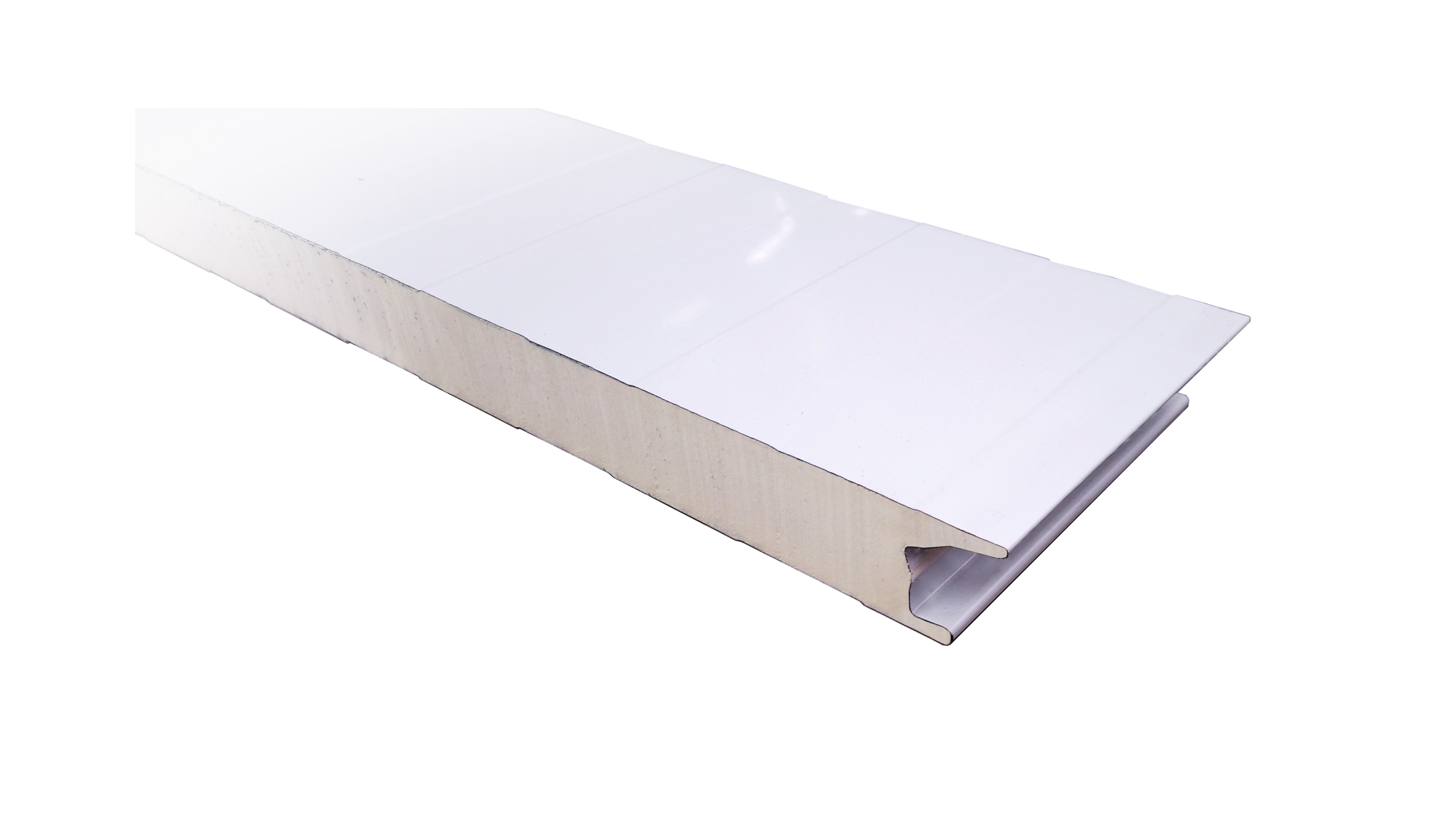 Panel fachada Blanco/Blanco METALPANEL 3000 x 1000 x 35 mm - 8