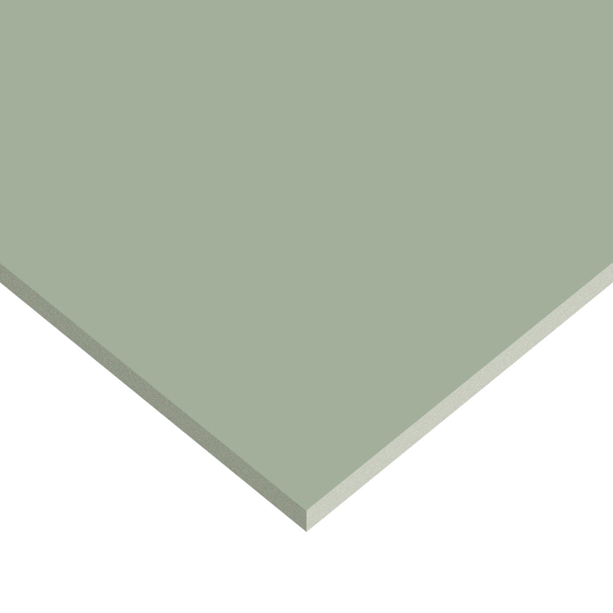 Piastrella da pavimento e rivestimento interno in gres porcellanato 61 x 122.2 cm rettificato smaltato digitale verde opaco Resina R9 traffico intenso (pei 4/5) Sp. 9 mm 1.49 mq - 4