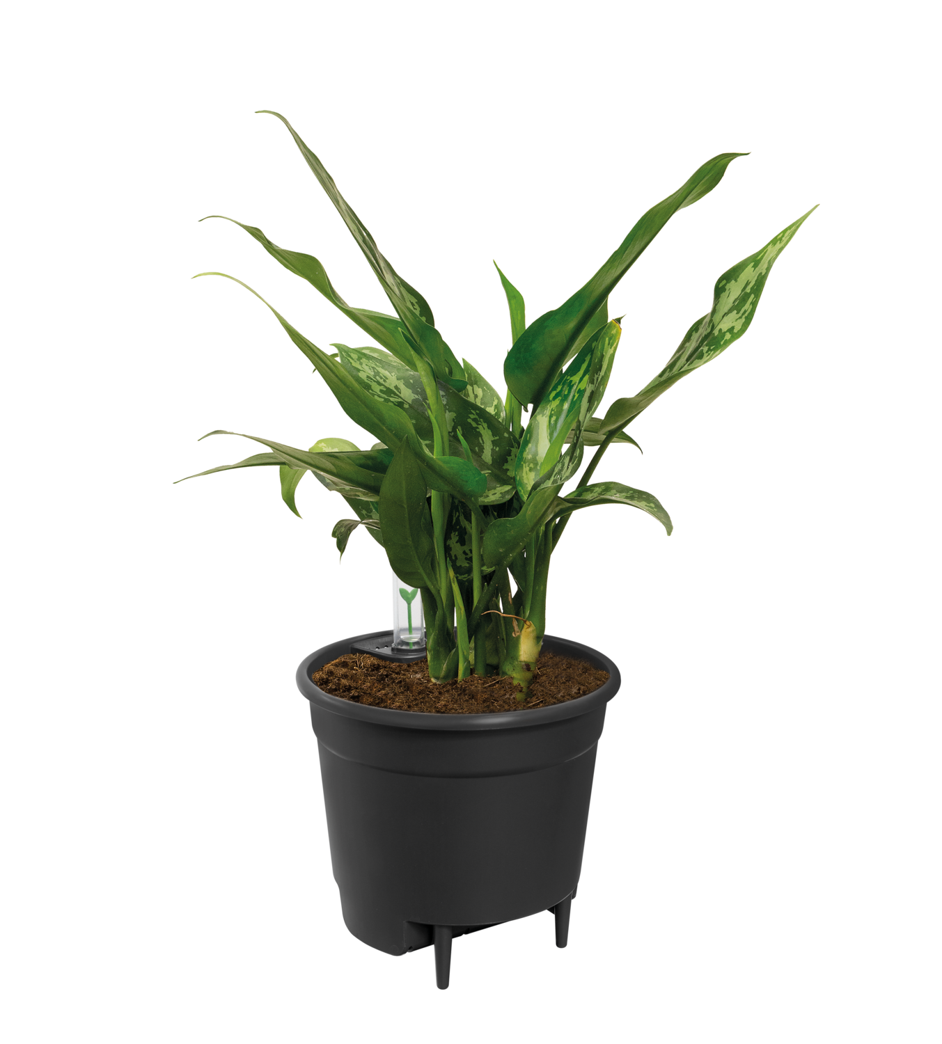 Maceta con soporte redonda de polipropileno ELHO  ø 33.3 cm y 30.7 cm altura negro - 9