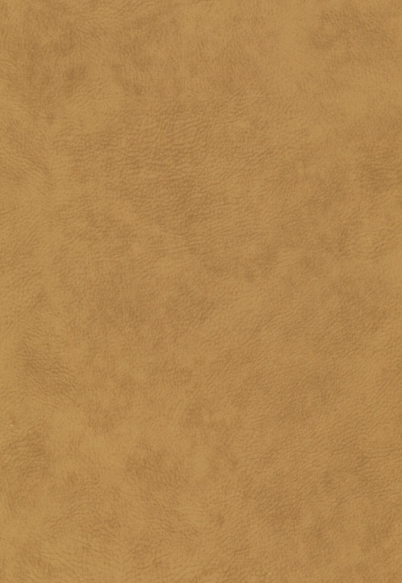 Almofada Logan 30x50cm mostarda - 3