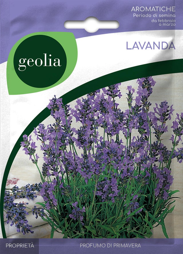 Semi per orto di lavanda vera GEOLIA 0.01 g