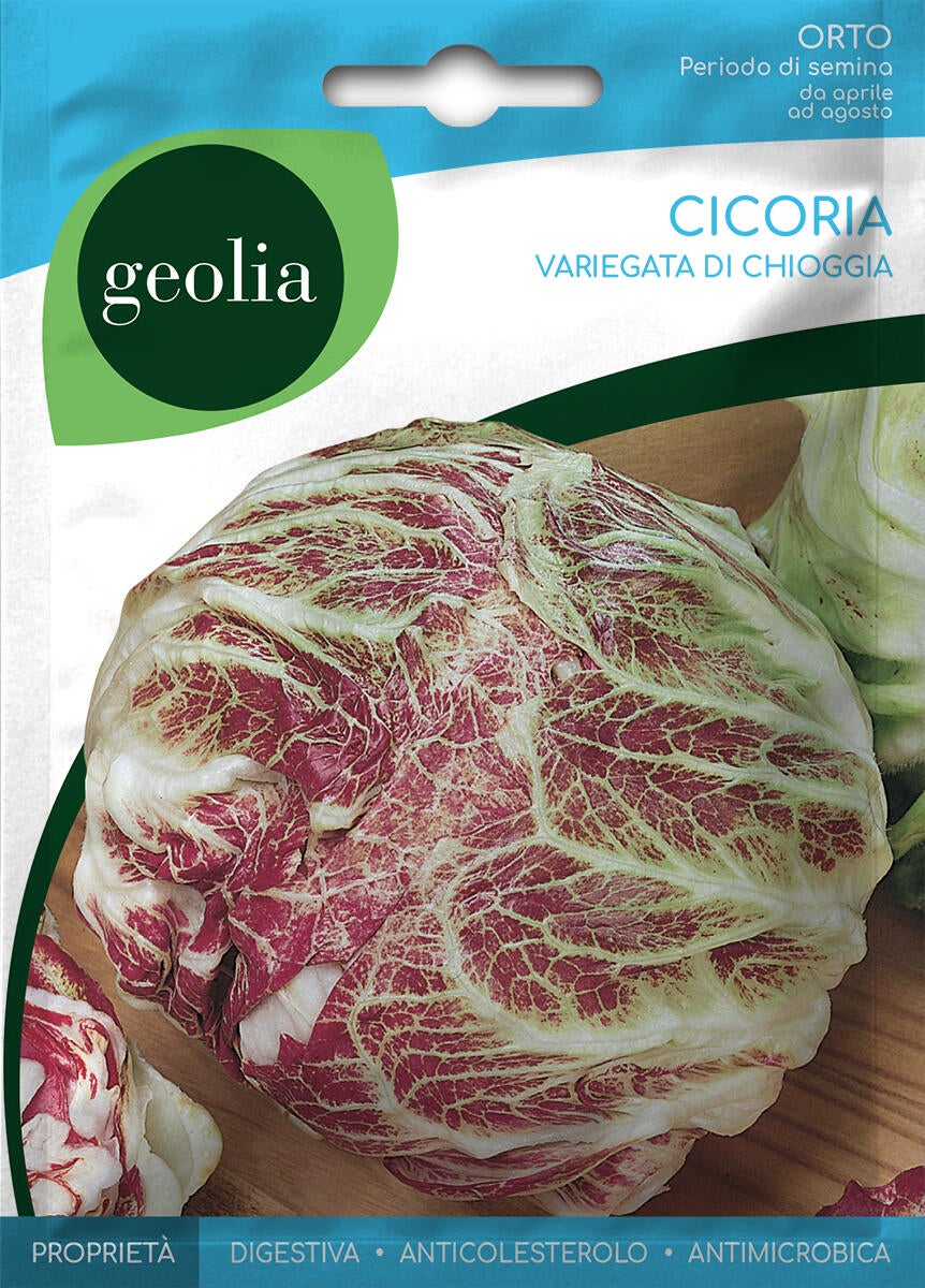 Semi di cicoria variegata di chioggia GEOLIA 0.01 g | Leroy Merlin