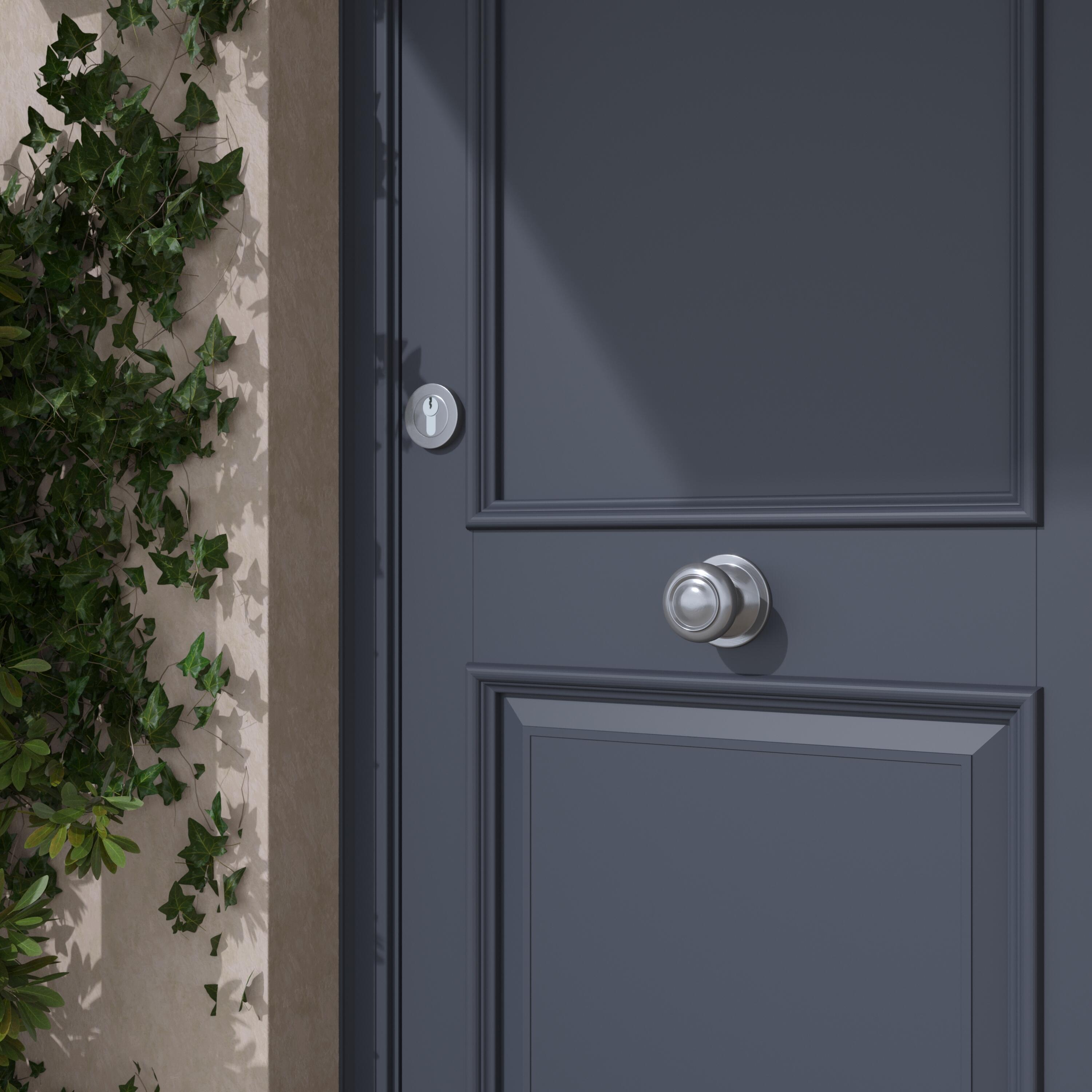 Bouton de tirage de porte en acier INSPIRE Nickel, Diam. 85 x H.74 mm - 2
