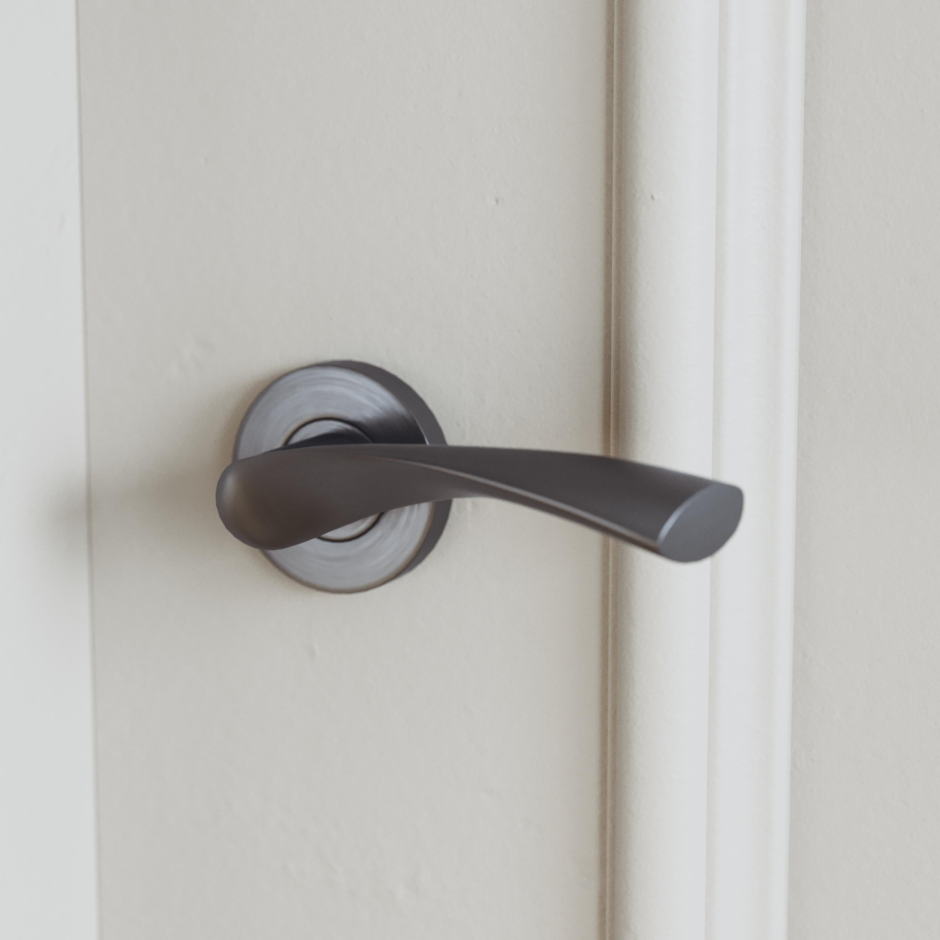 poignée de porte sur rosace plusieurs finitions  - 0