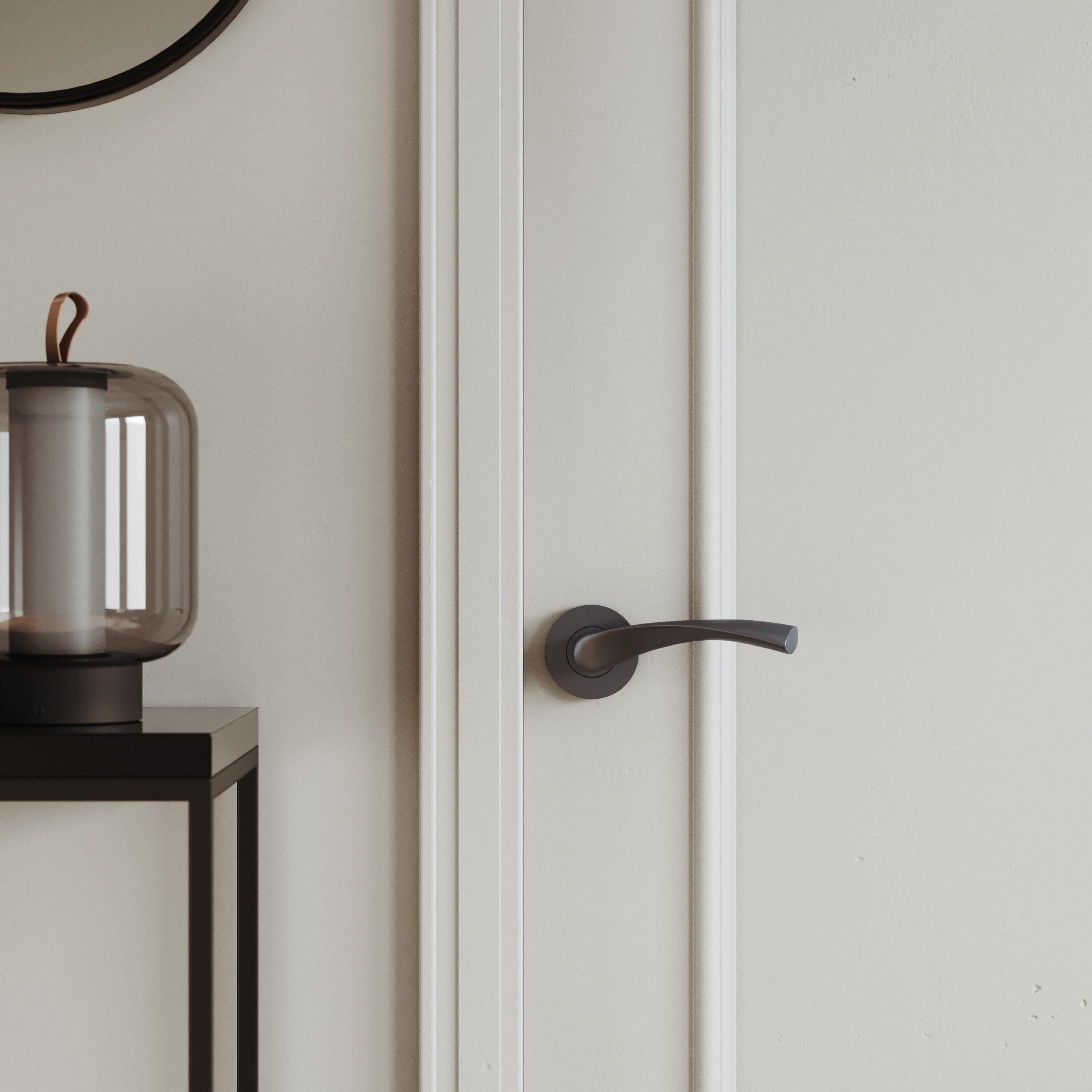 2 poignées sur rosace INSPIRE Arosa titane brossé B5 - 2