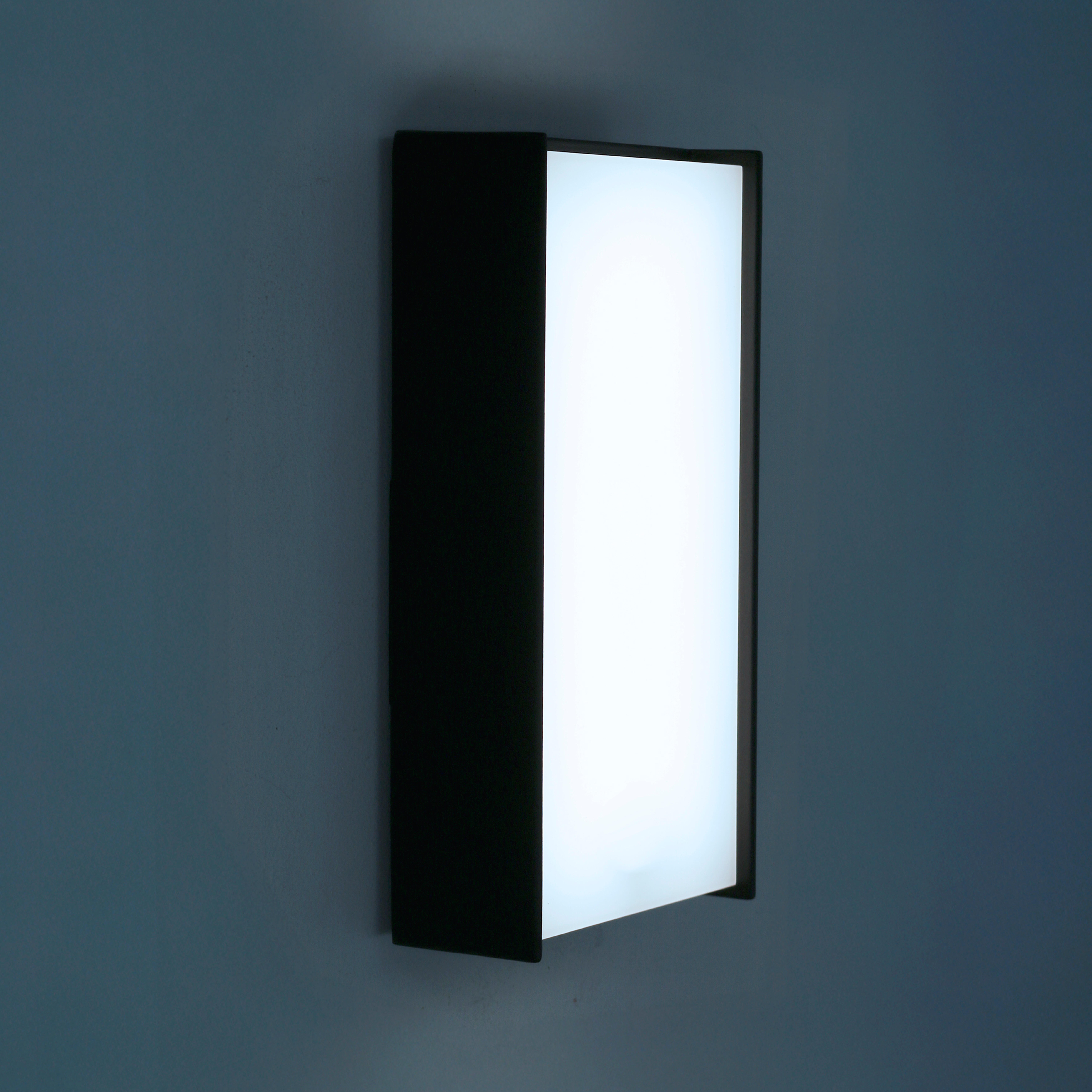 Applique extérieure Bord de mer led 2850 lm, blanc chaud à froid, Cizur INSPIRE - 3