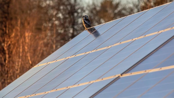 SUNFER: Compromiso con la sostenibilidad