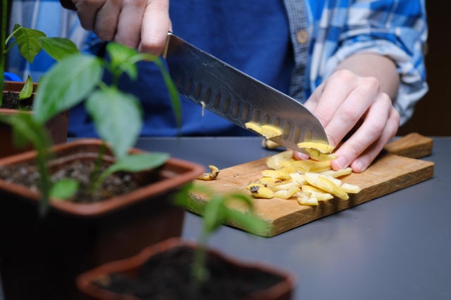 Krojenie skórki banana na desce w otoczeniu doniczek z młodymi roślinami w domowych warunkach.