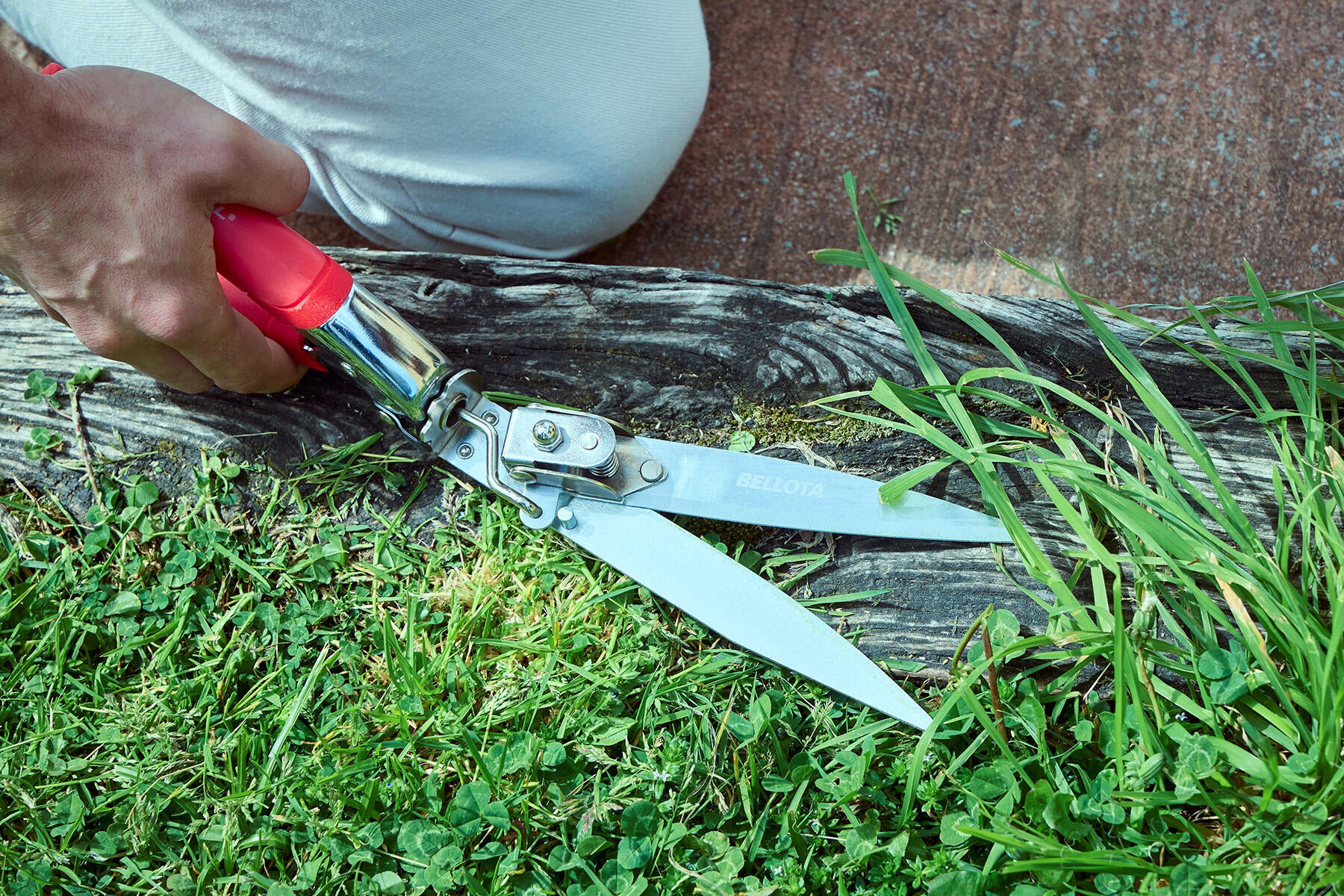 Tesoura BELLOTA RELVA 3555 - 5