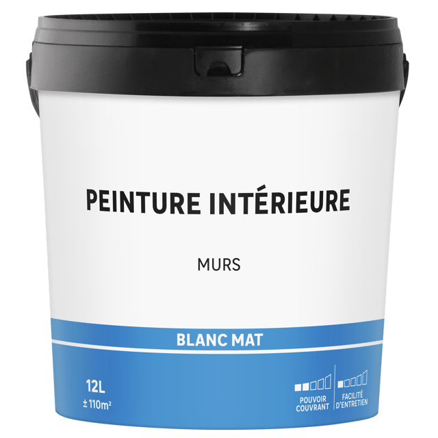 Peinture mur blanc mat Tous travaux 12L