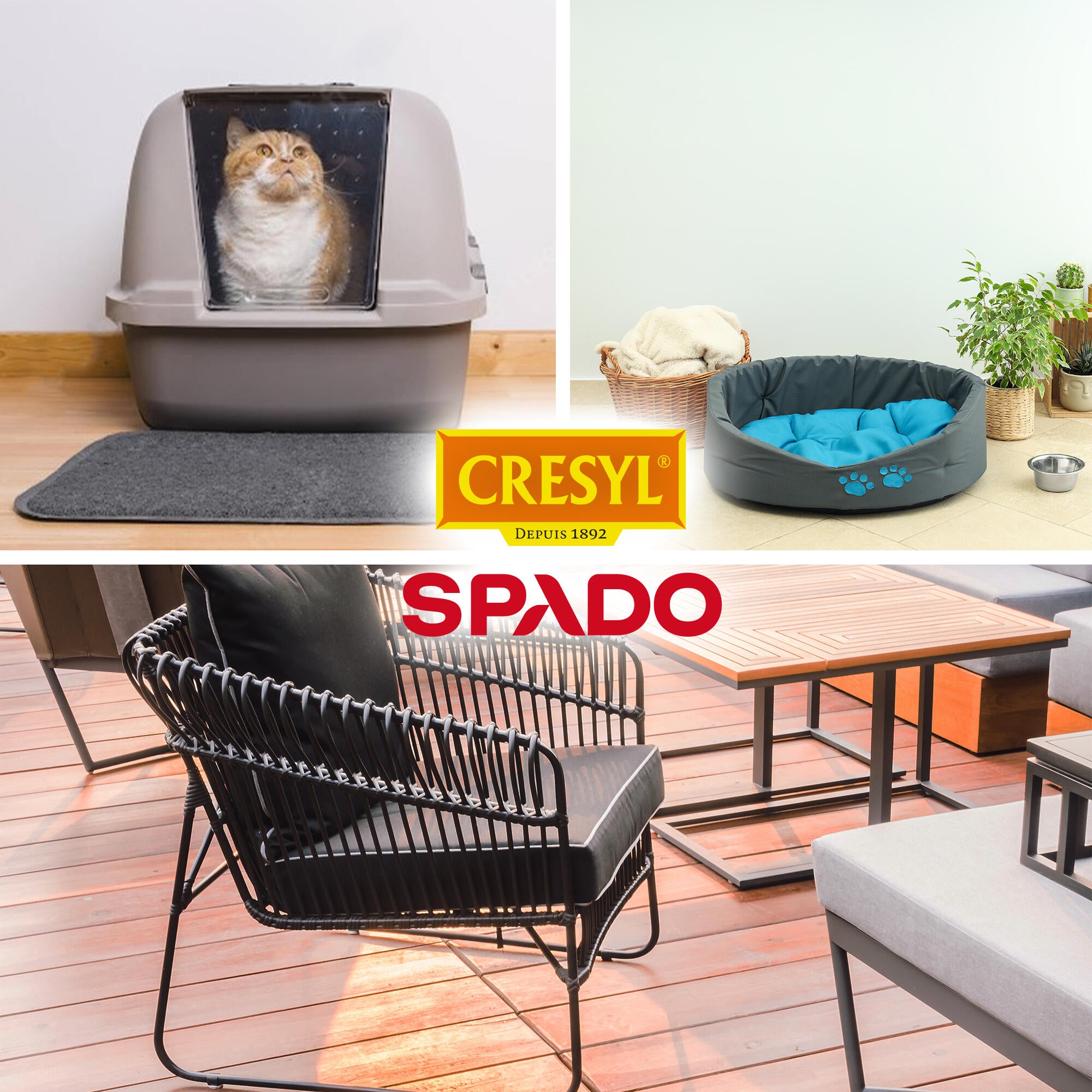 Désinfectant SPADO Crésyl, 5L - 2