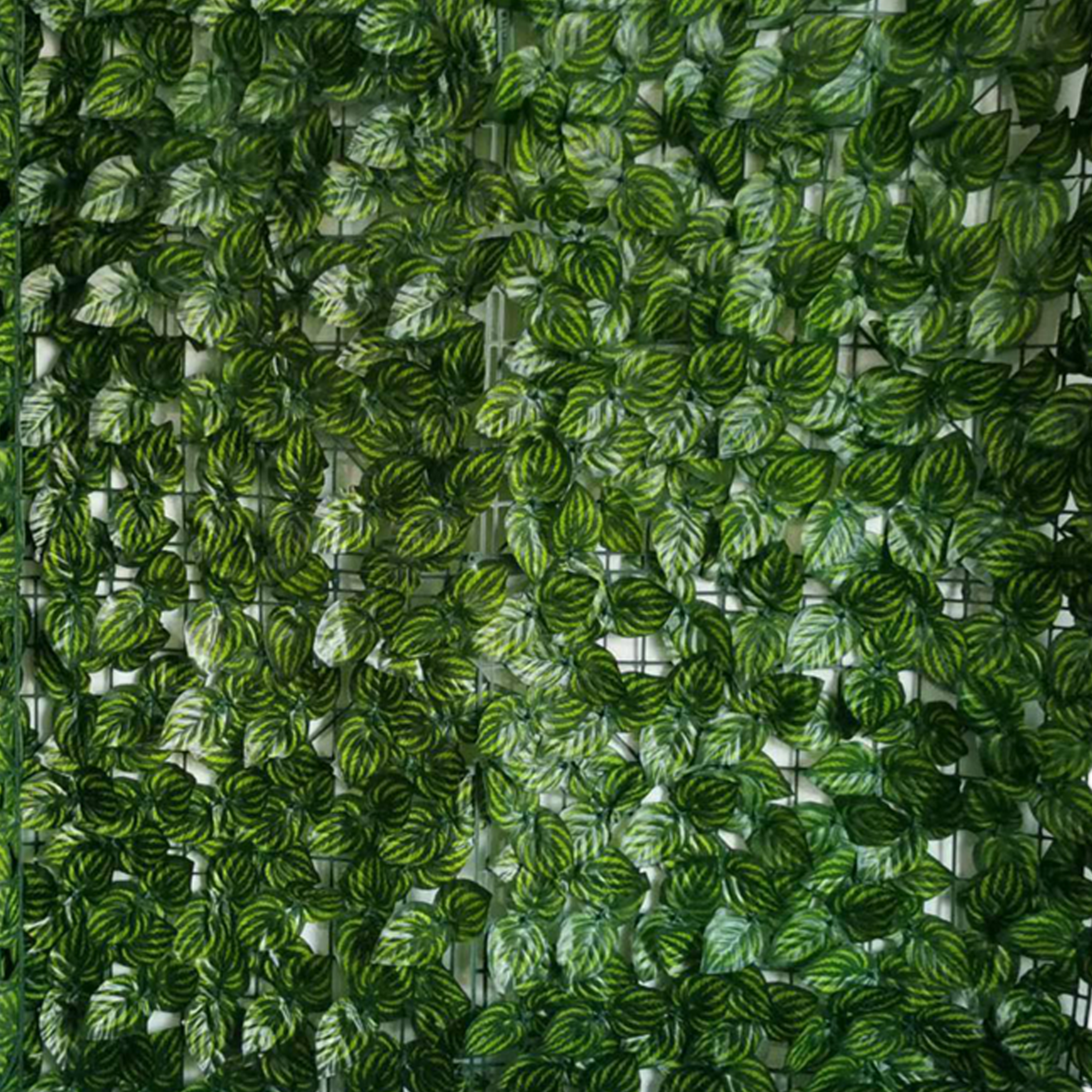 84230196
Panel osłonowy Liście arbuza 1x3 m