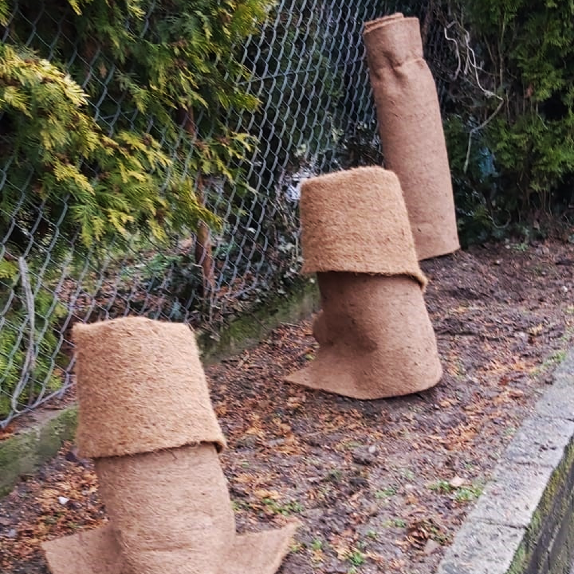 86474857
Agrowłóknina mata kokosowa brązowa 250x80cm Lustan