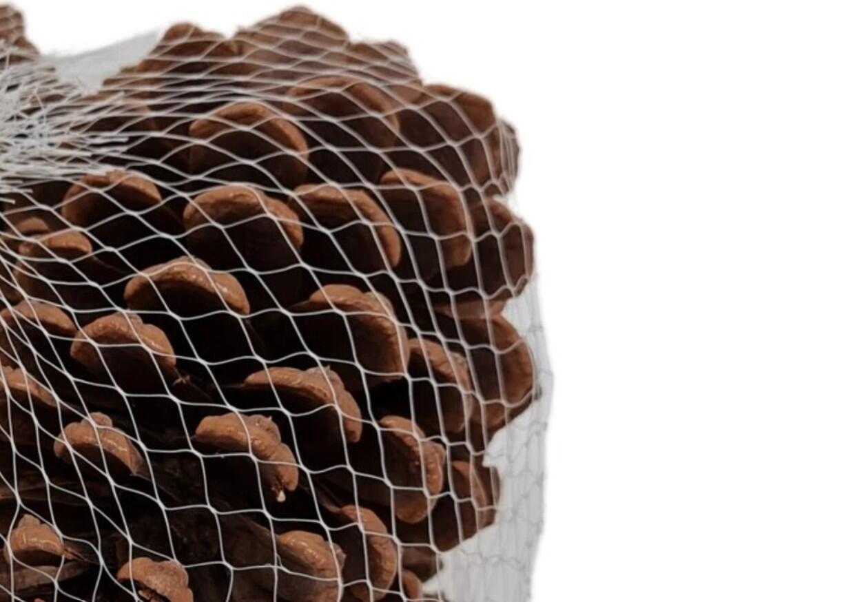 Set di 6 pigne marroni - 4