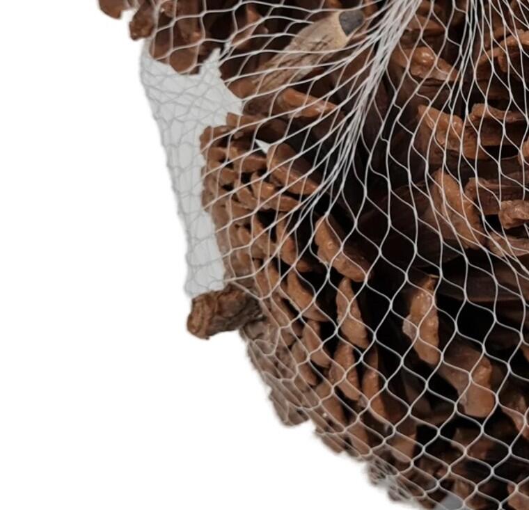 Set di 6 pigne marroni - 3